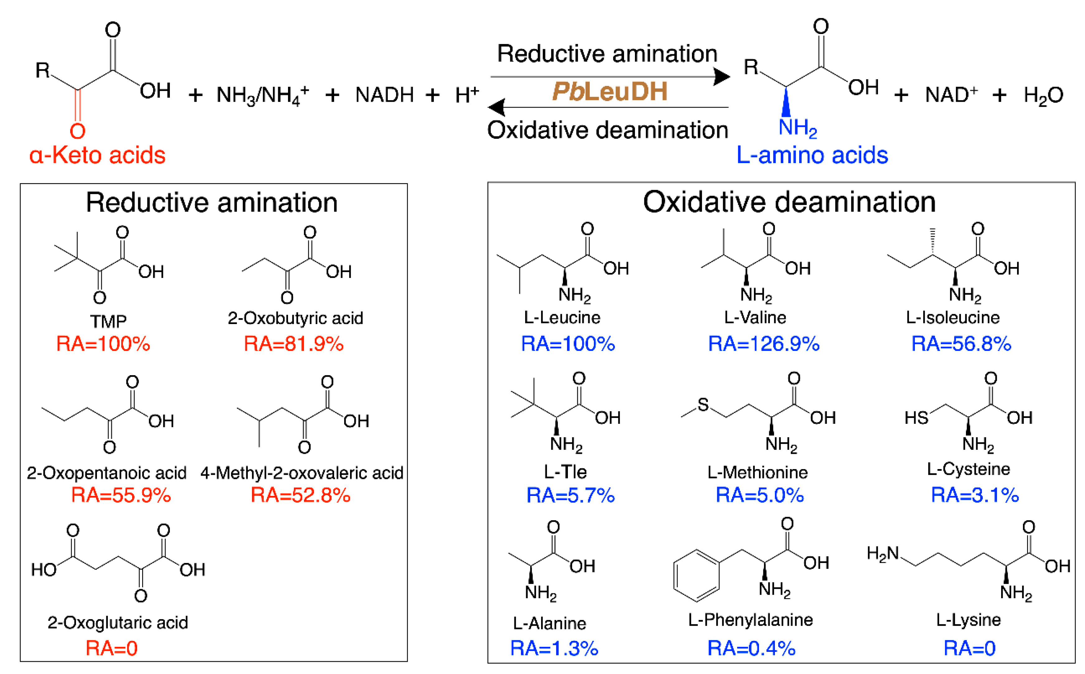 Catalysts 12 00971 g005 550