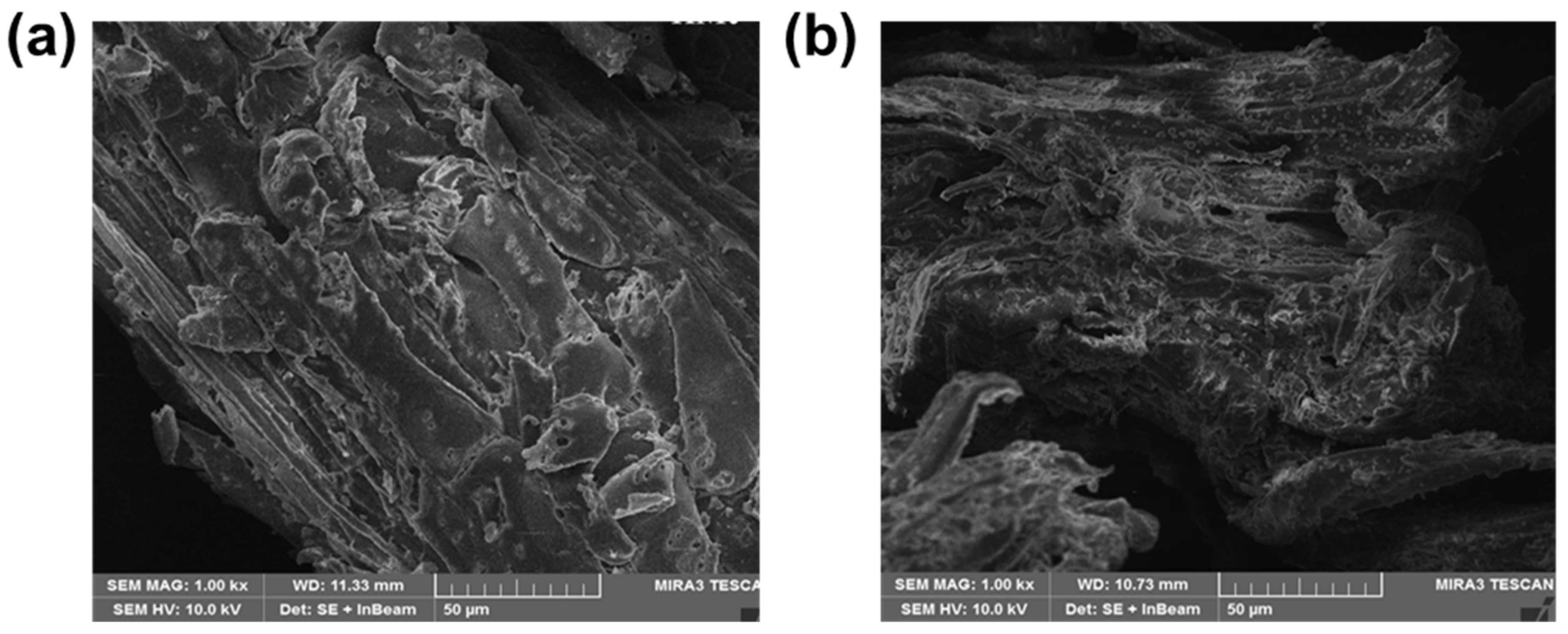 Catalysts 12 00972 g002 550