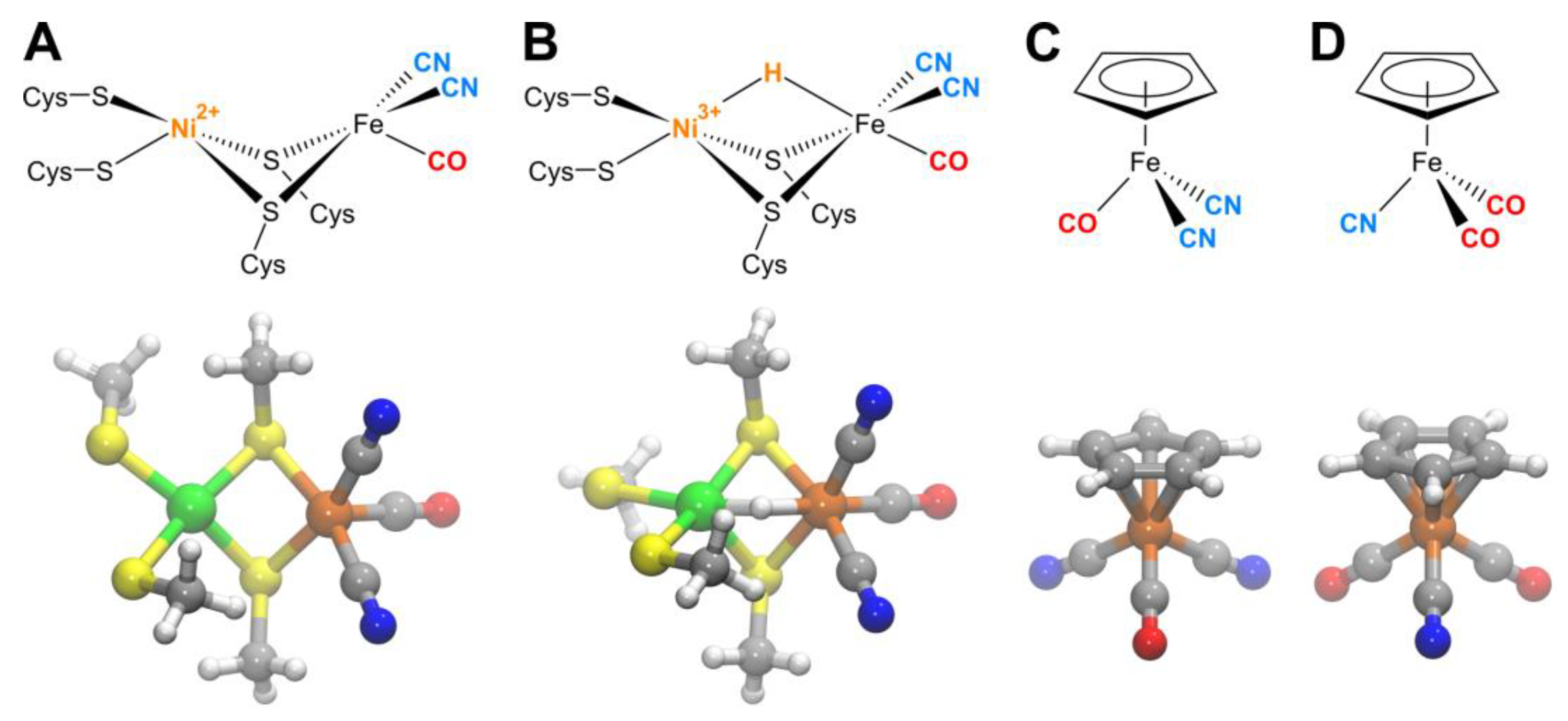 Catalysts 12 00988 g001