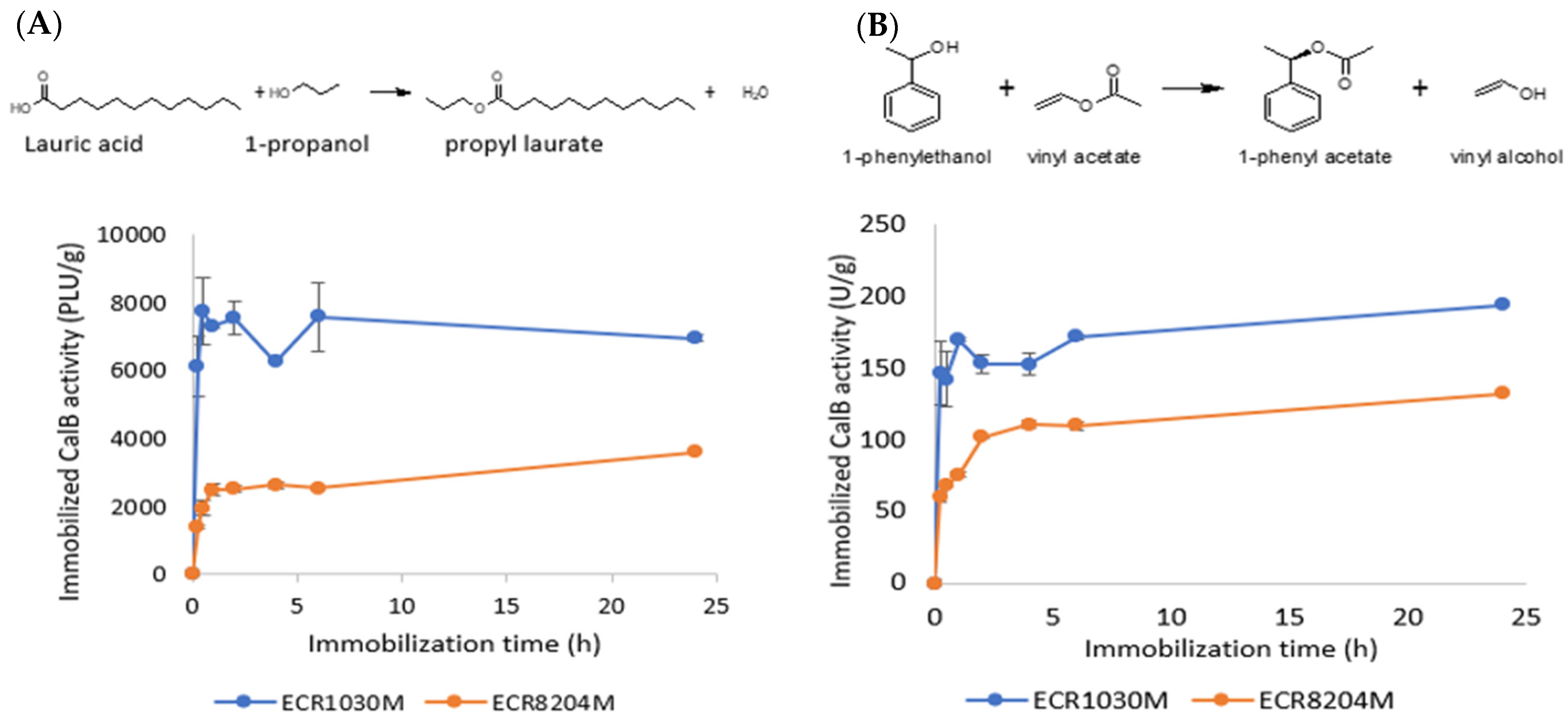 Catalysts 12 00989 g005 550