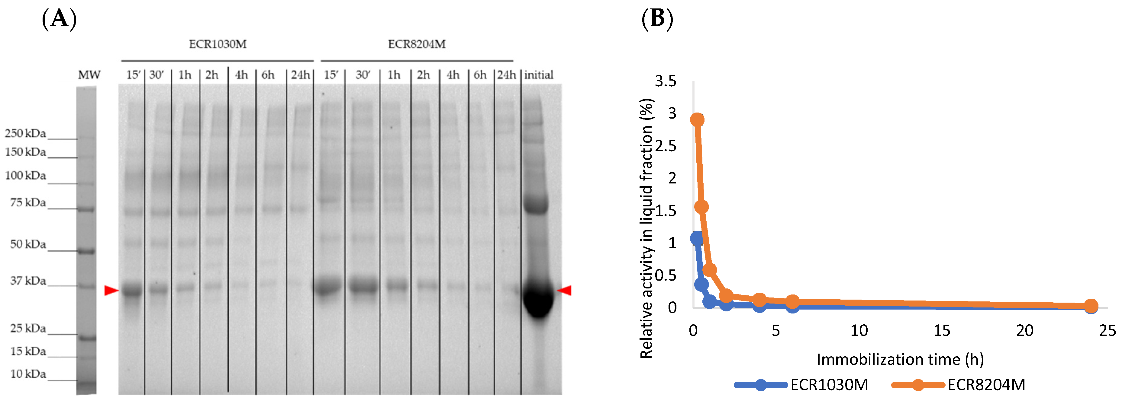Catalysts 12 00989 g006 550