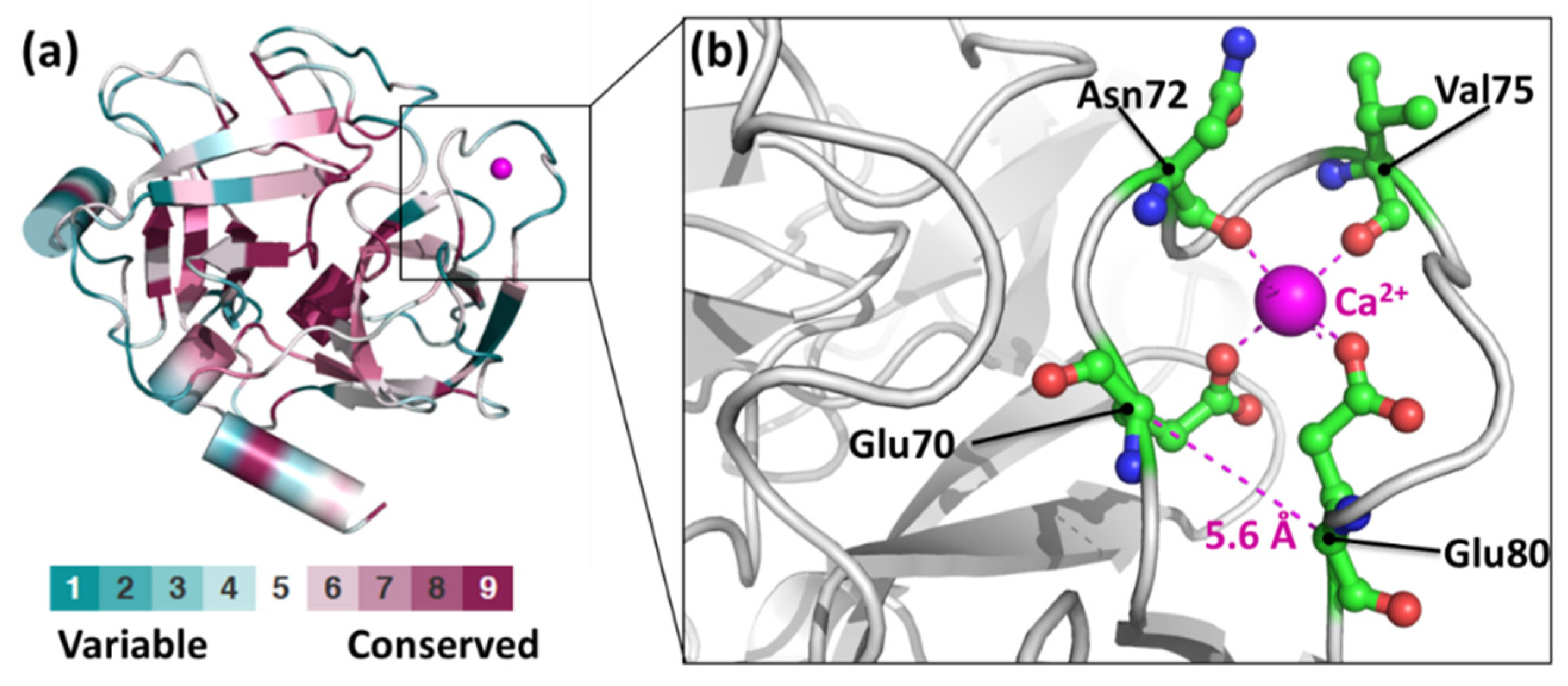 Catalysts 12 00990 g001