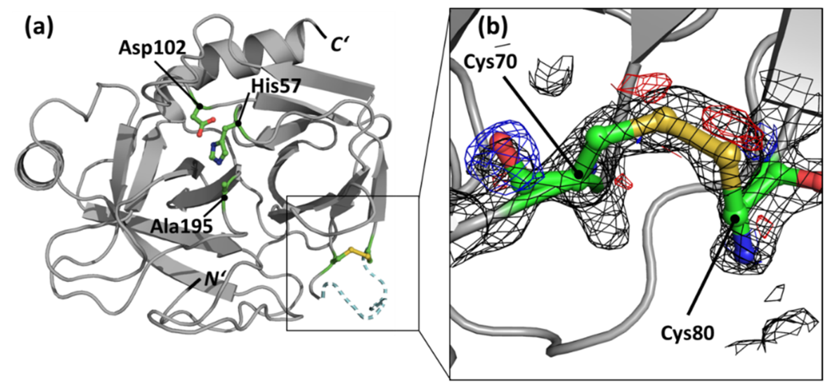 Catalysts 12 00990 g003