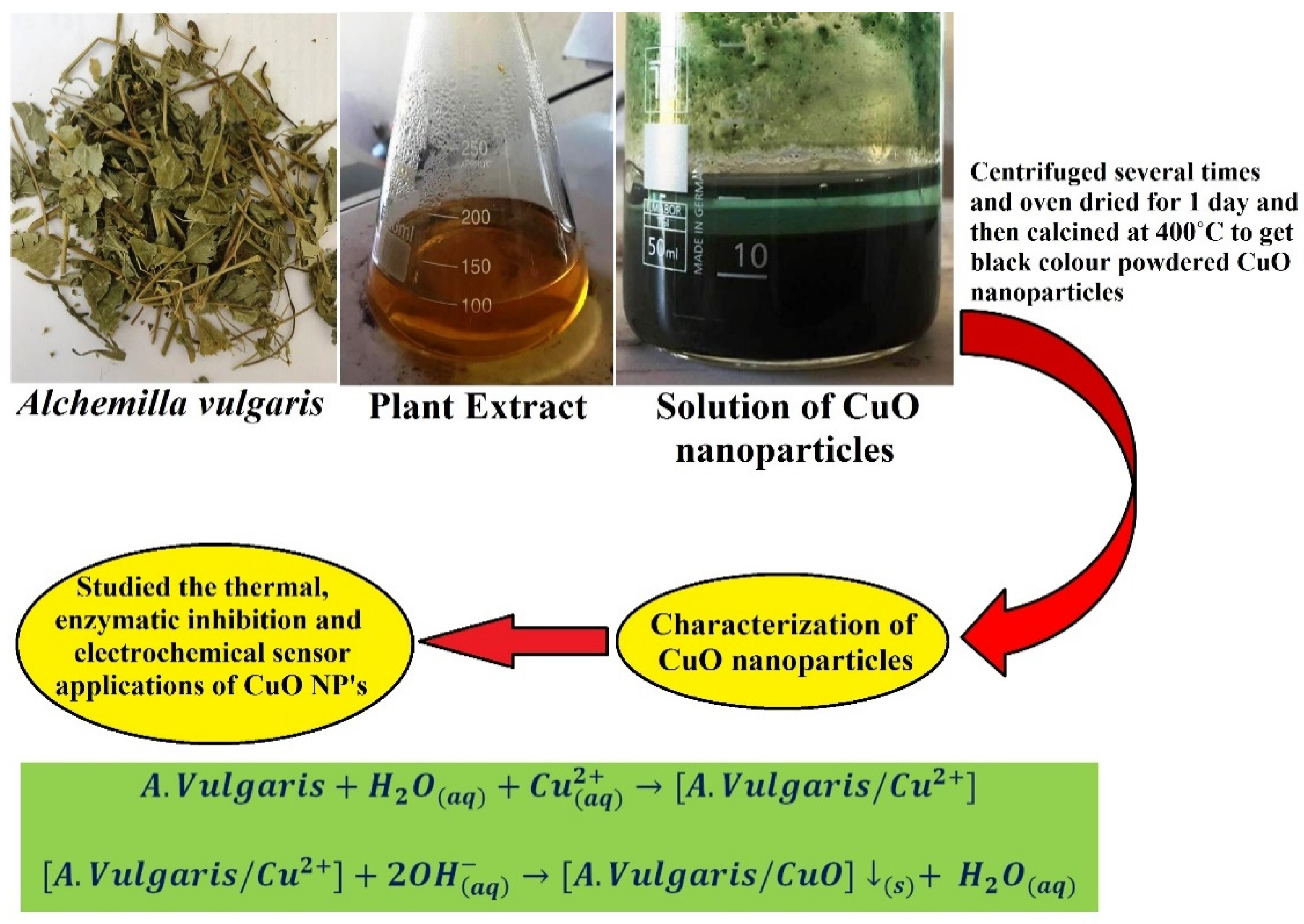 Catalysts 12 00994 g001