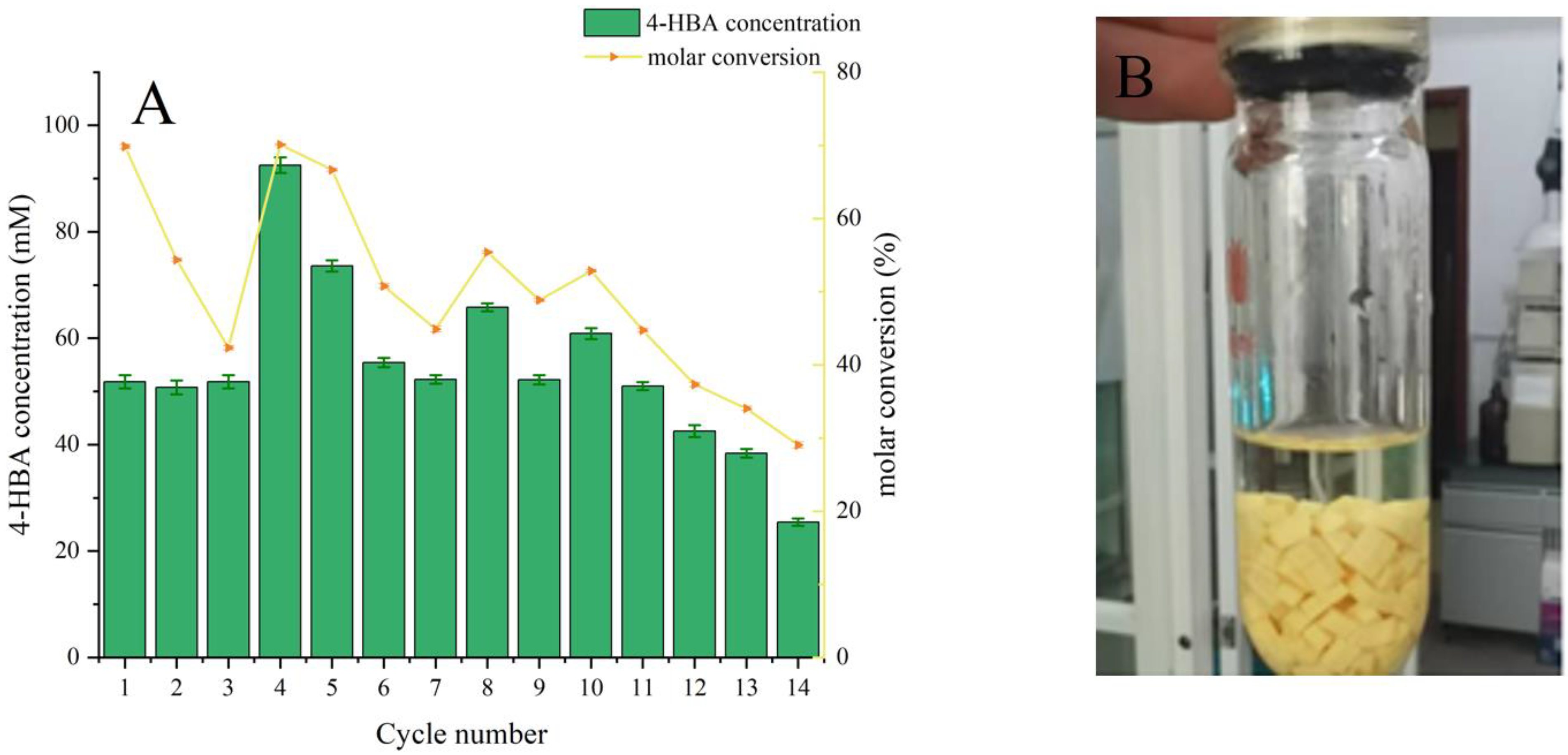 Catalysts 12 00997 g005 550