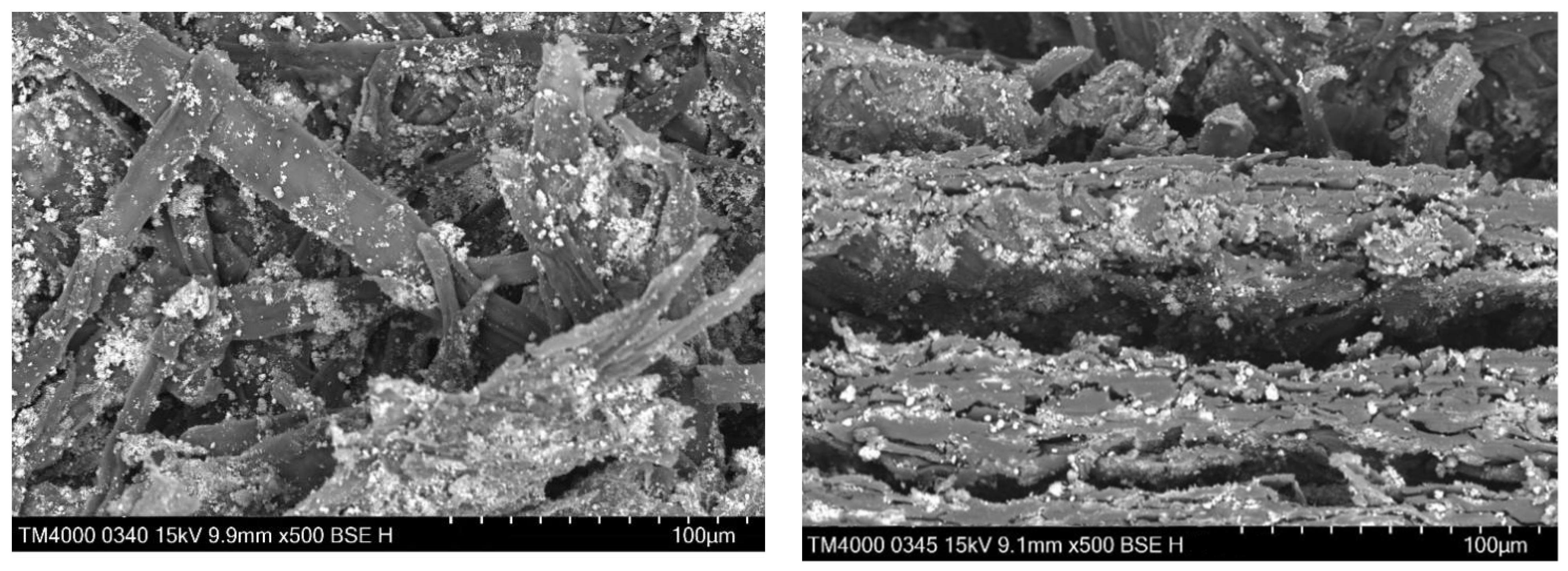 Catalysts 12 01003 g002 550
