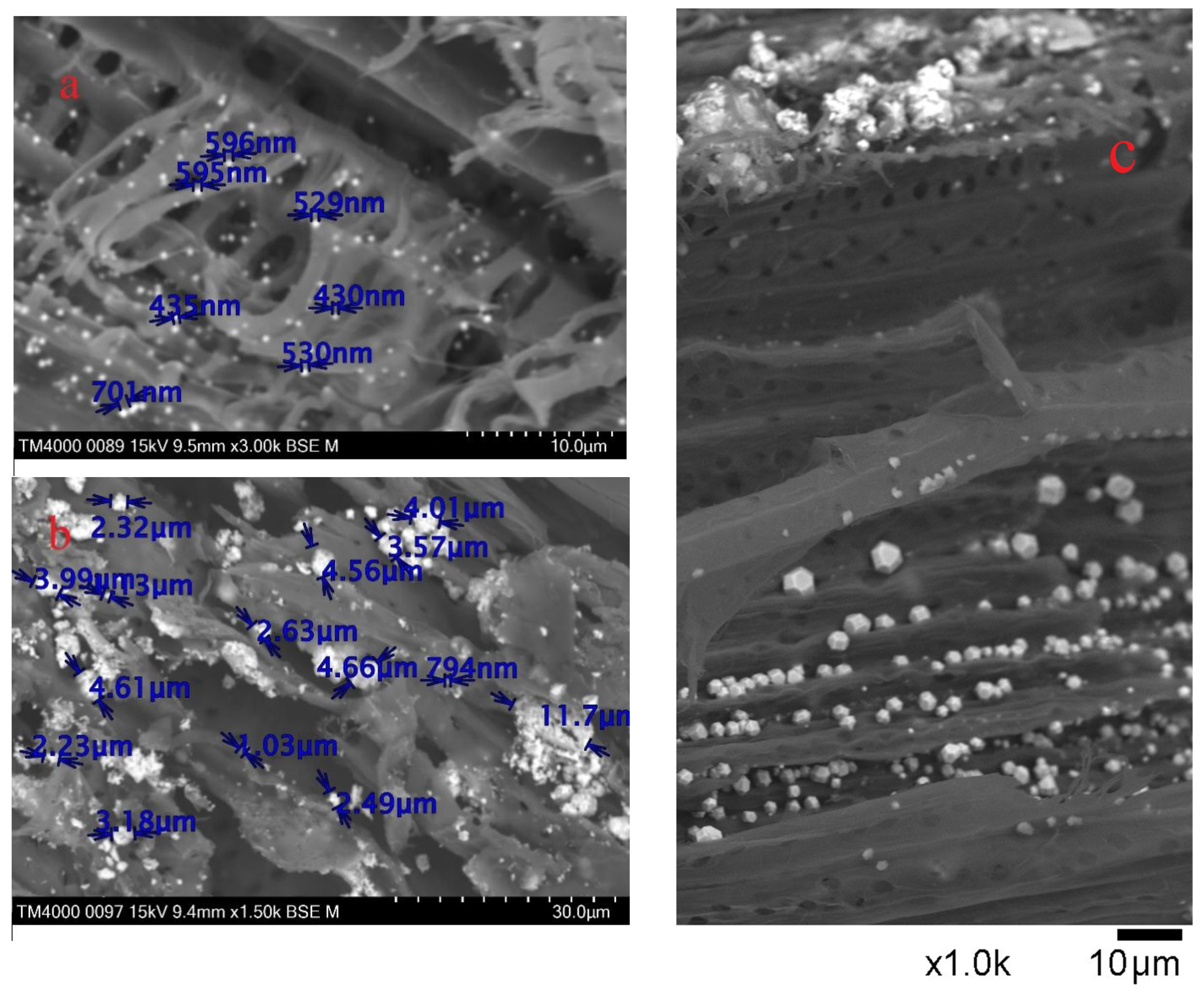 Catalysts 12 01003 g003 550
