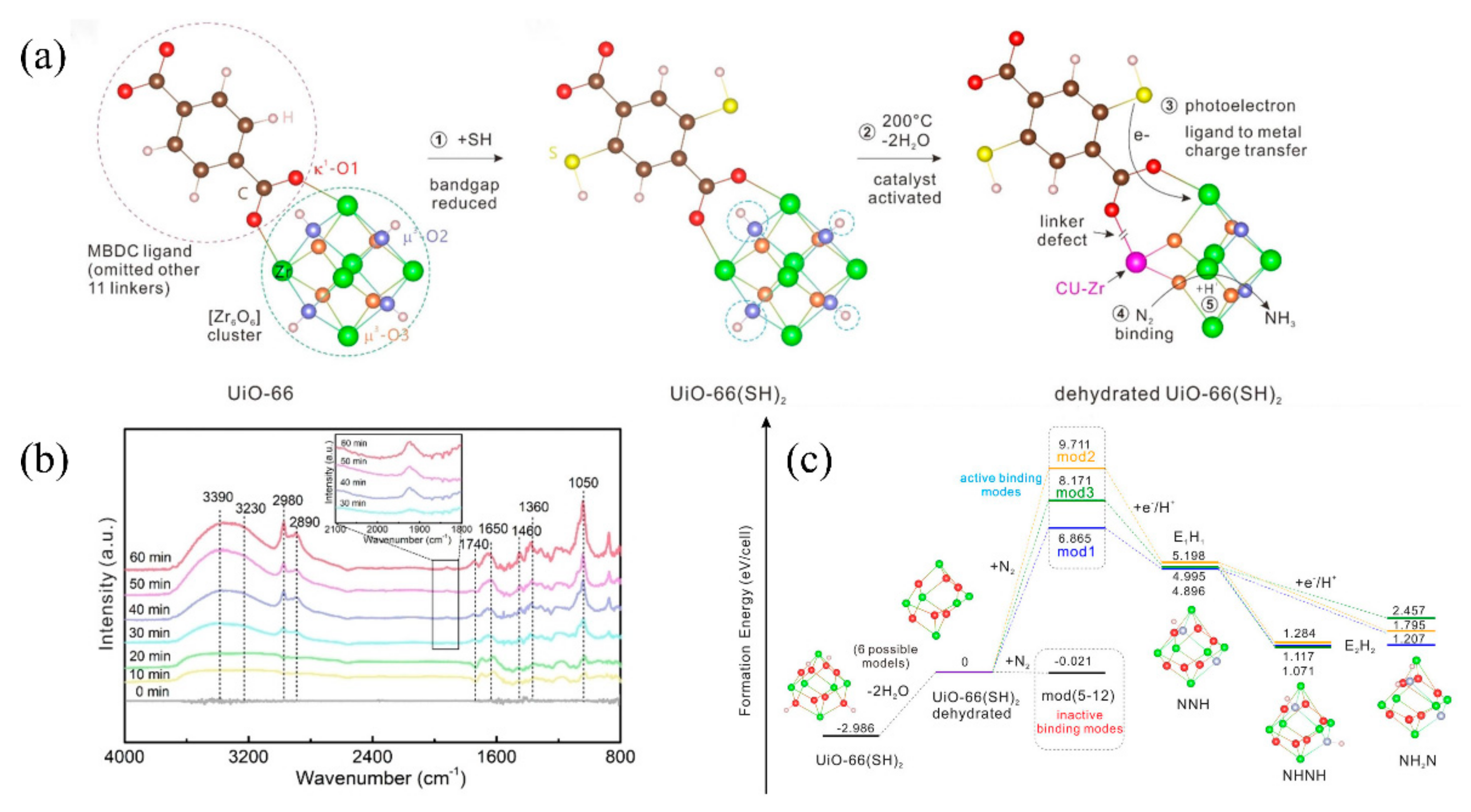 Catalysts 12 01005 g004 550