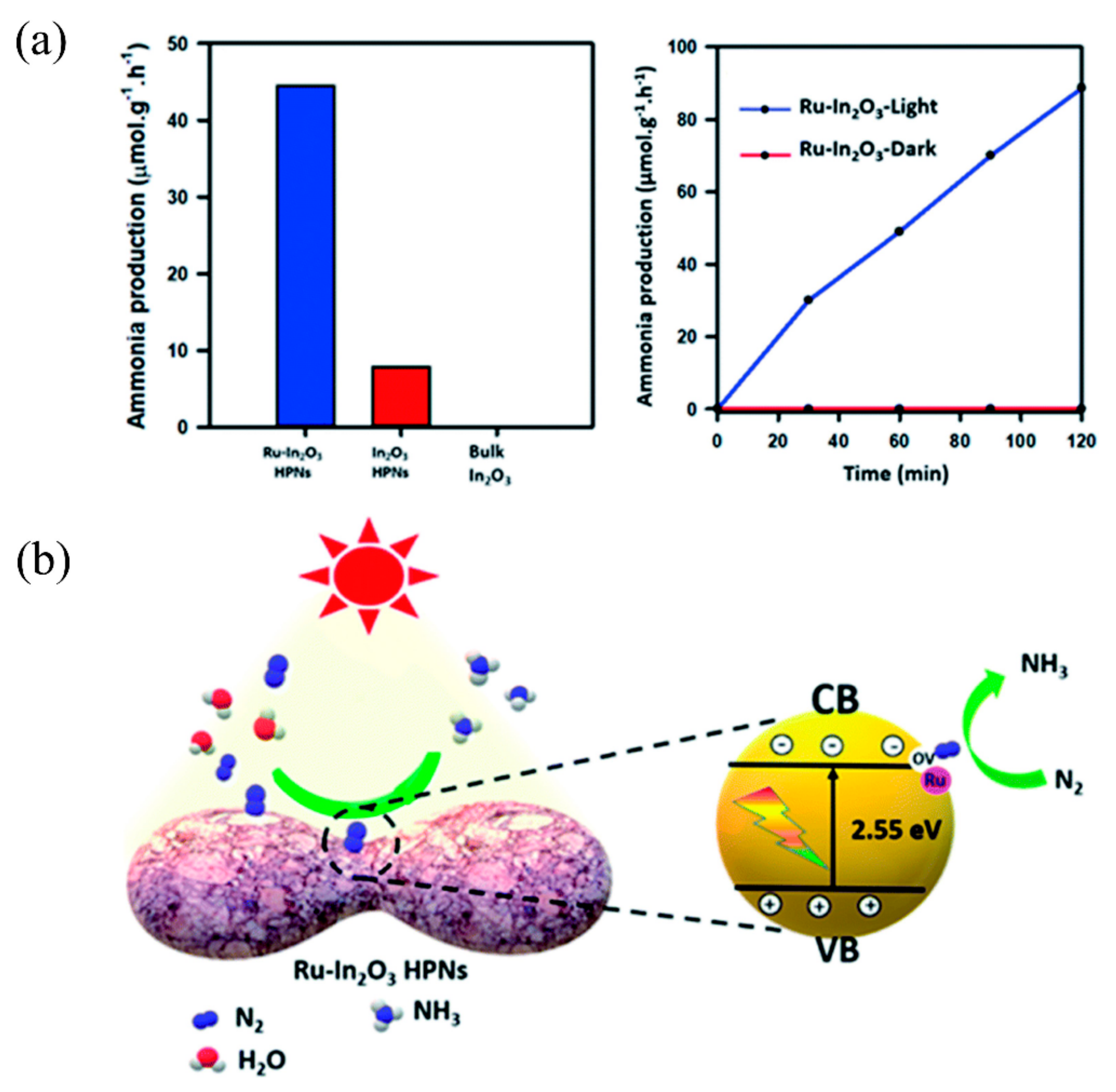 Catalysts 12 01005 g013 550