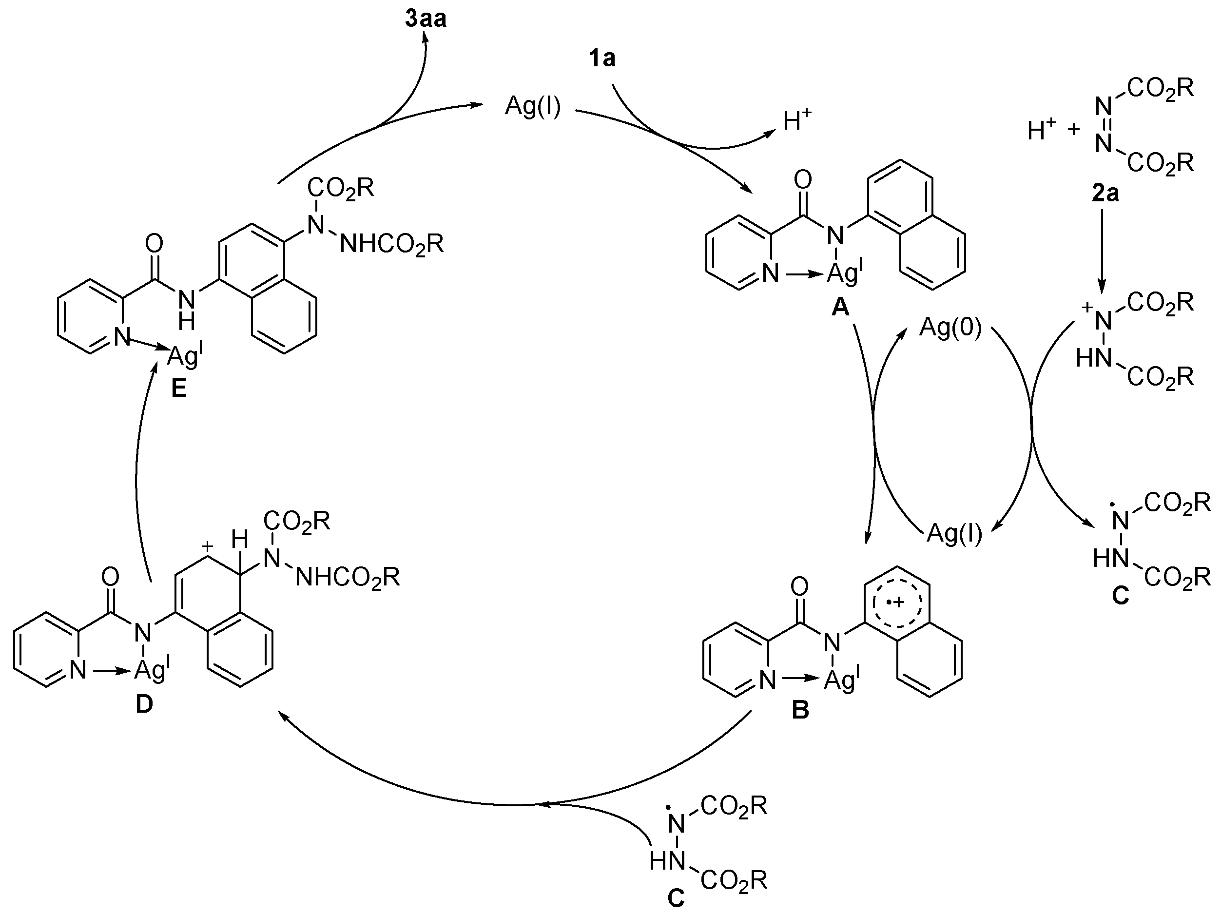 Catalysts 12 01006 sch006 550