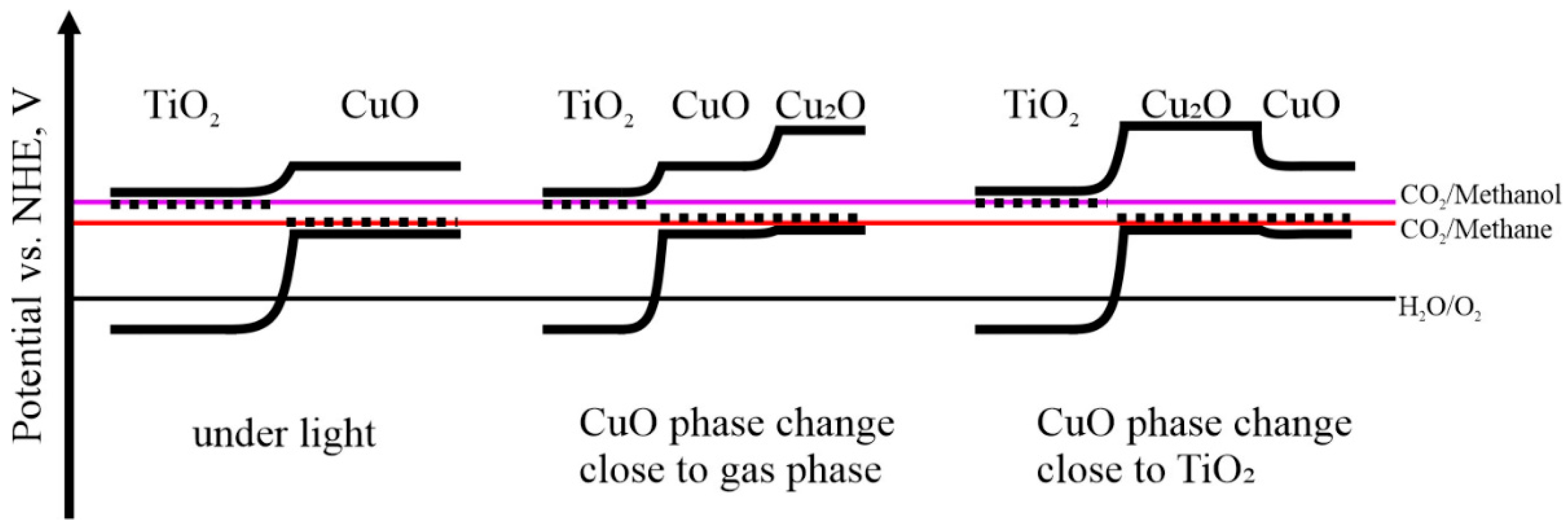 Catalysts 12 01011 g006