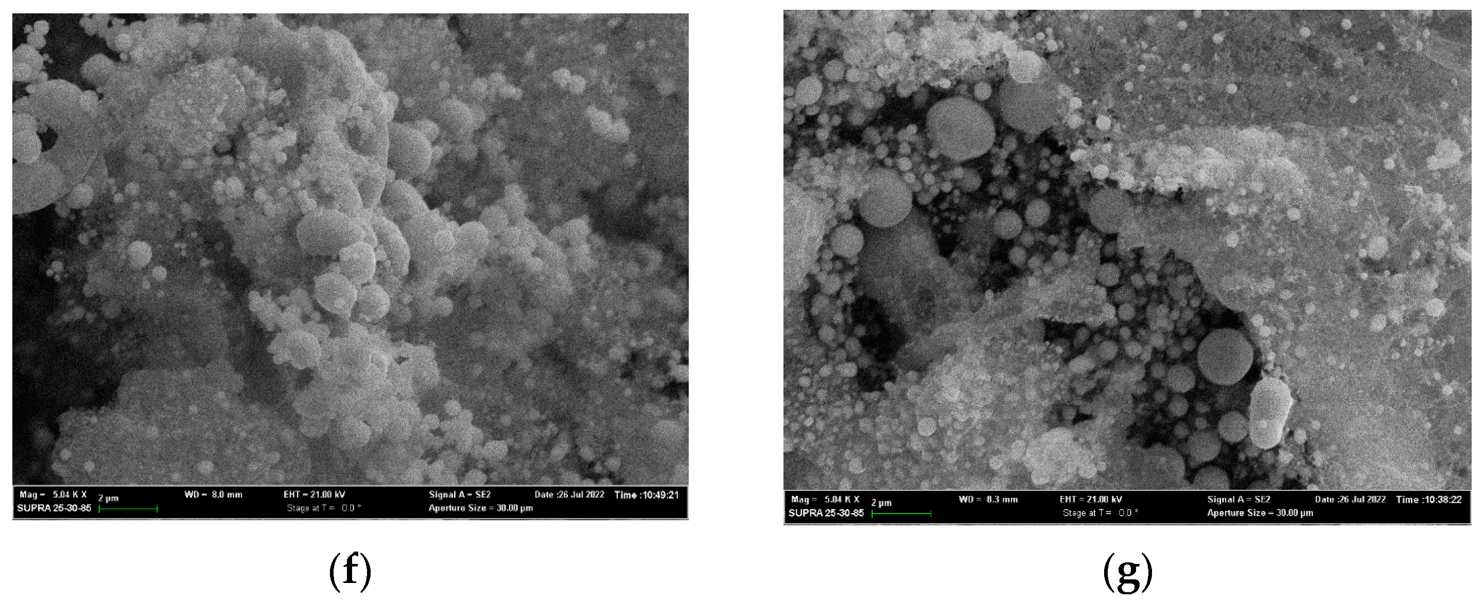 Catalysts 12 01013 g003b