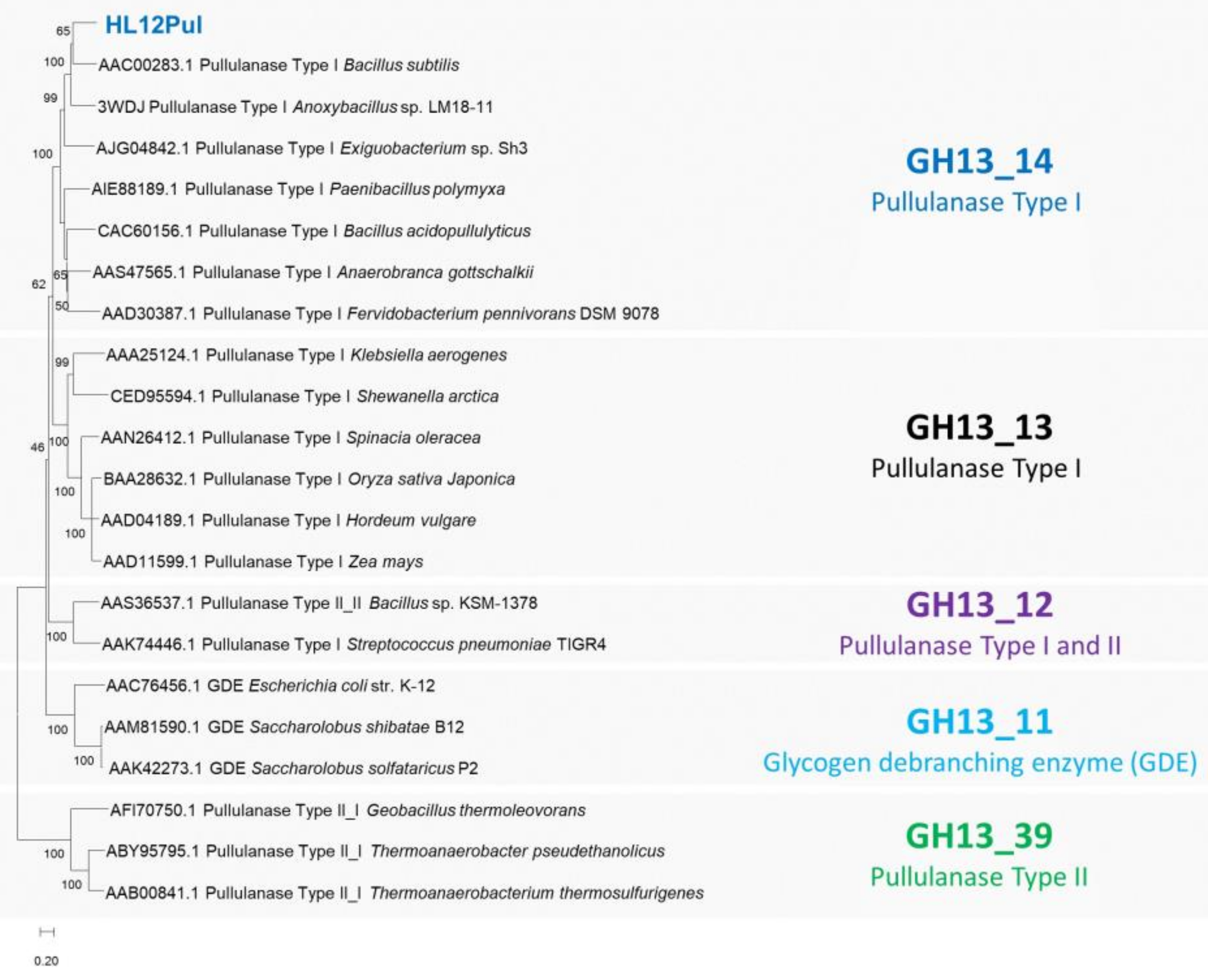 Catalysts 12 01014 g001