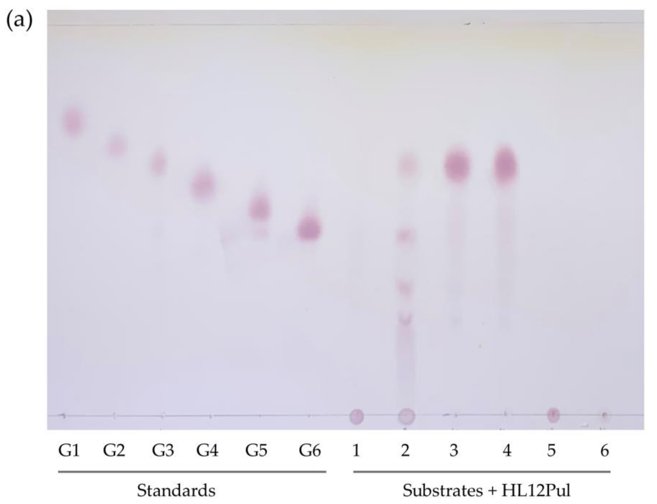 Catalysts 12 01014 g004a