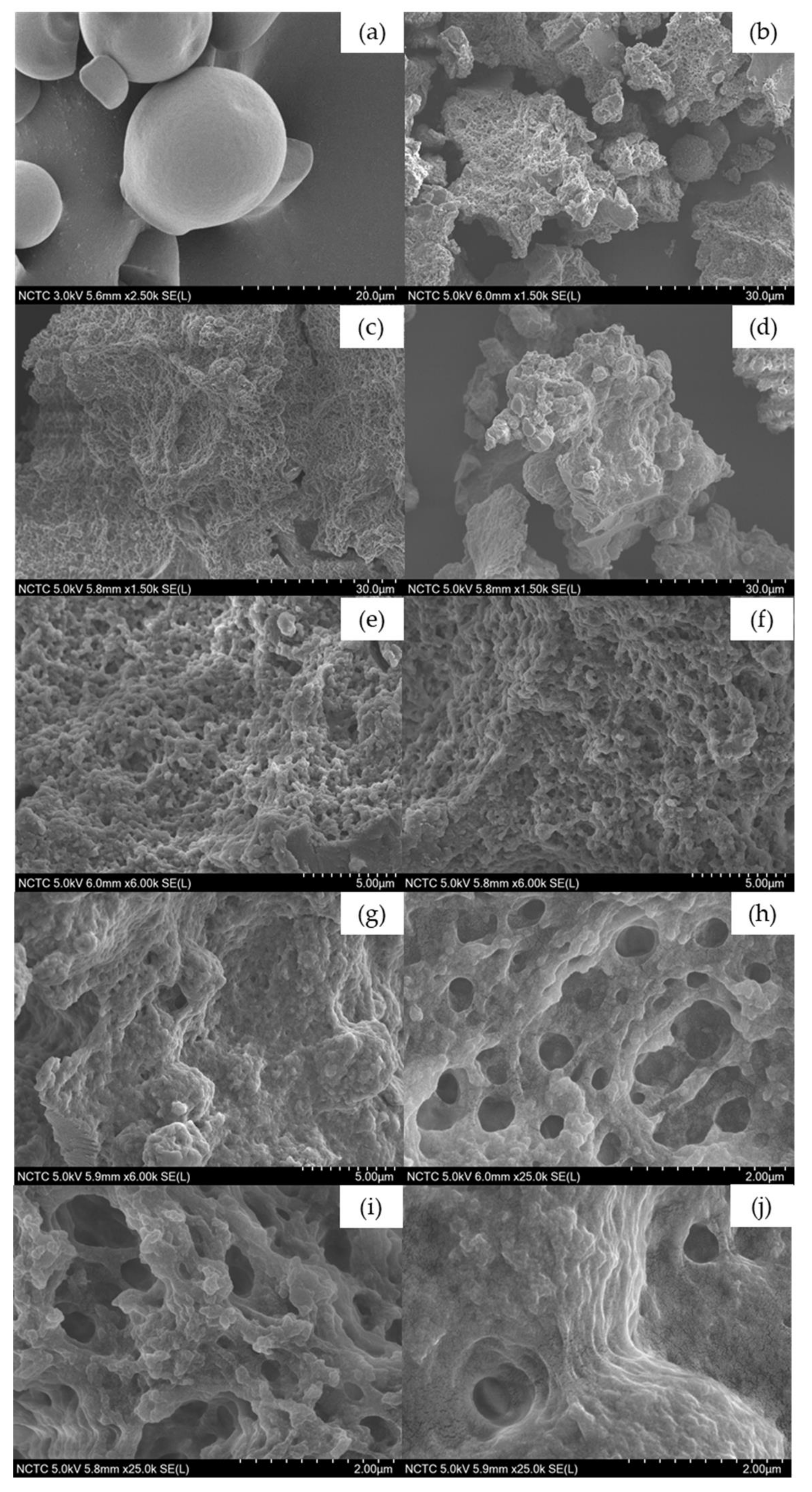 Catalysts 12 01014 g007
