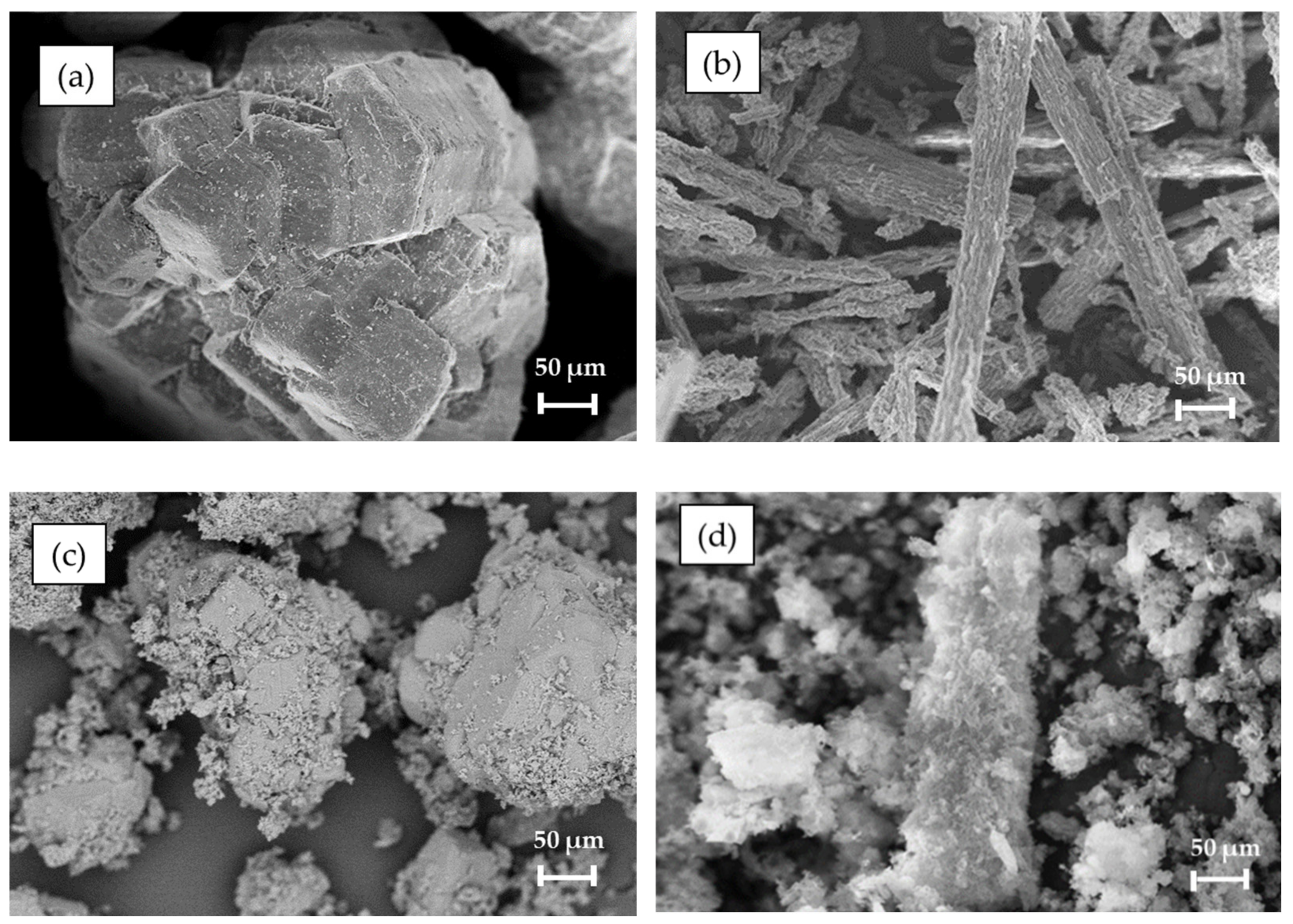 Catalysts 12 01018 g003 Catalysts 12 01018 g003