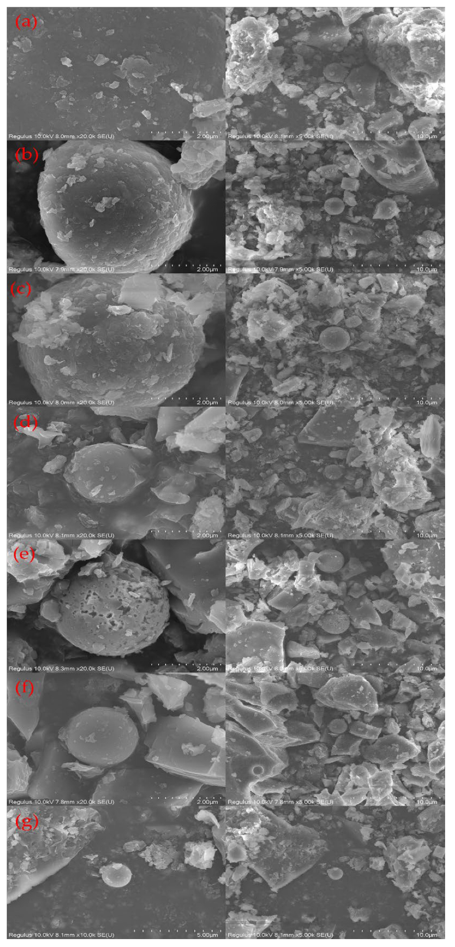 Catalysts 12 01019 g002