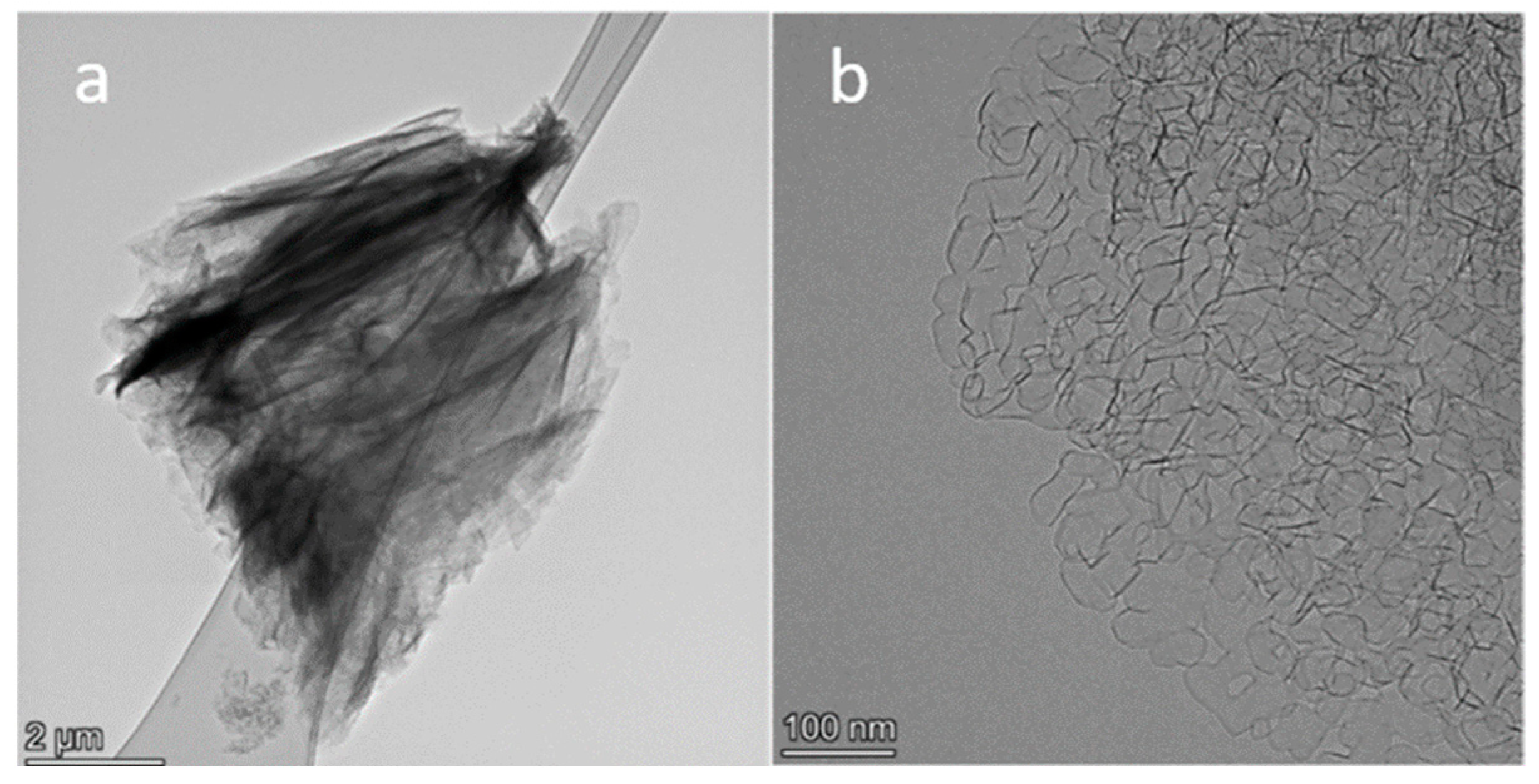 Catalysts 12 01022 g001 550