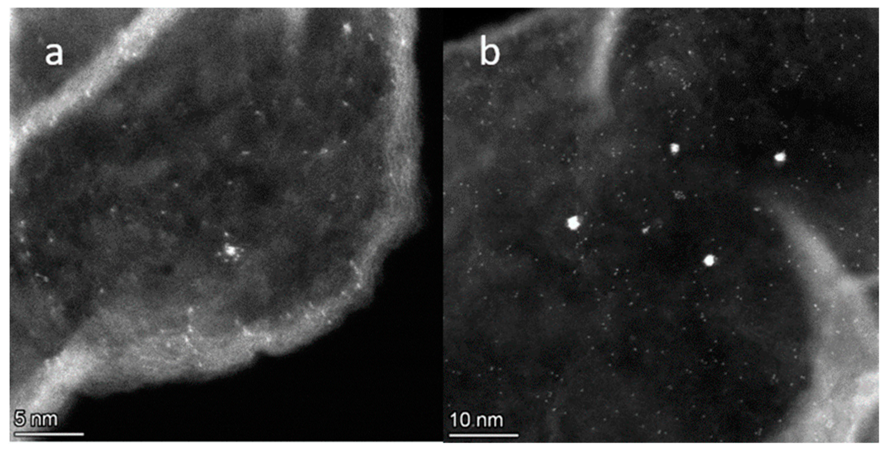 Catalysts 12 01022 g004 550