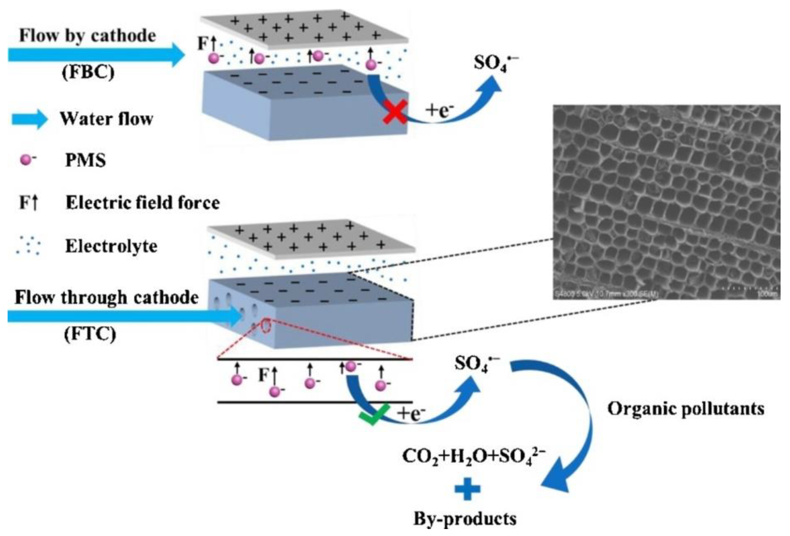 Catalysts 12 01024 g006