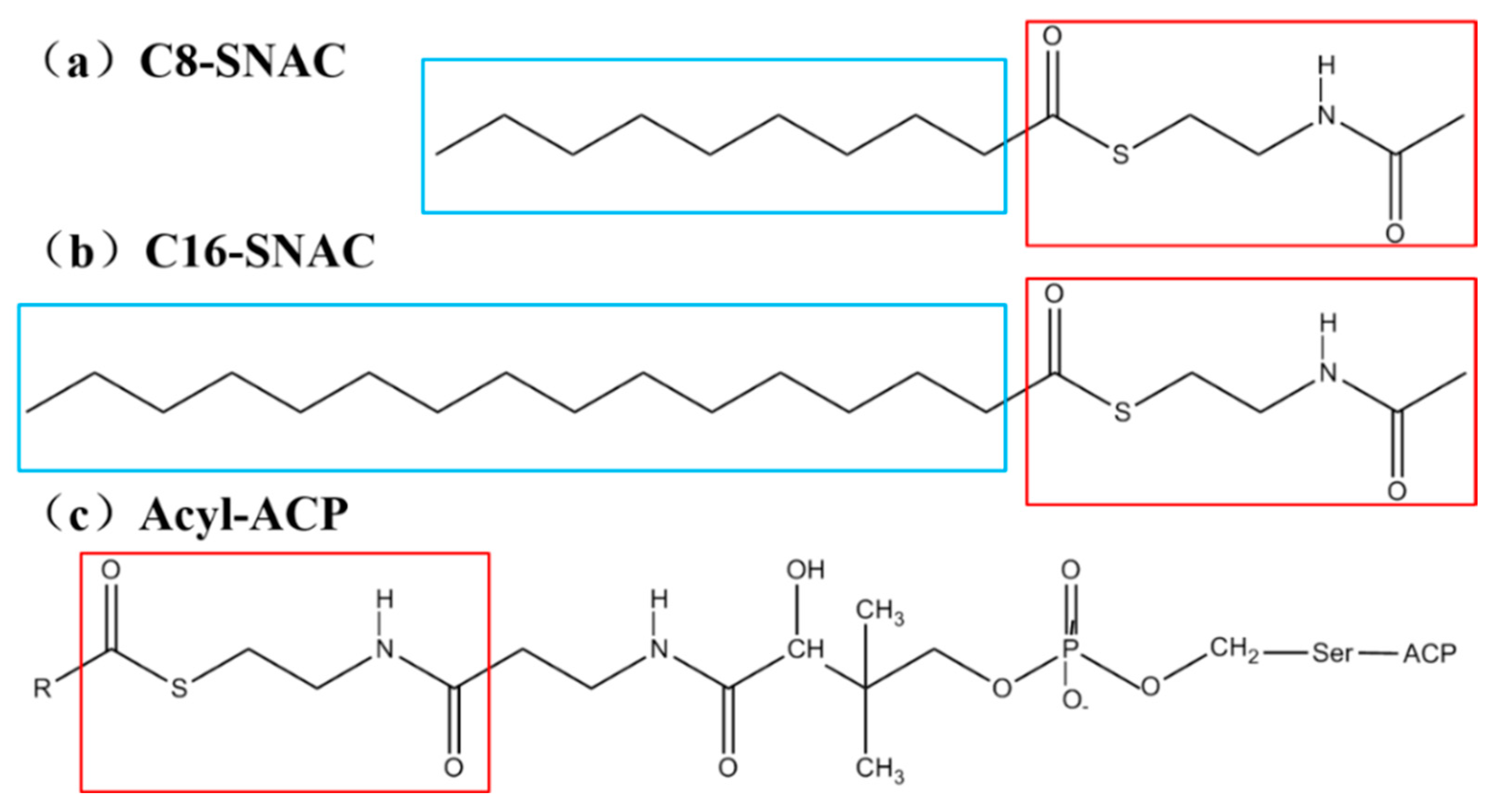 Catalysts 12 01026 g002 550