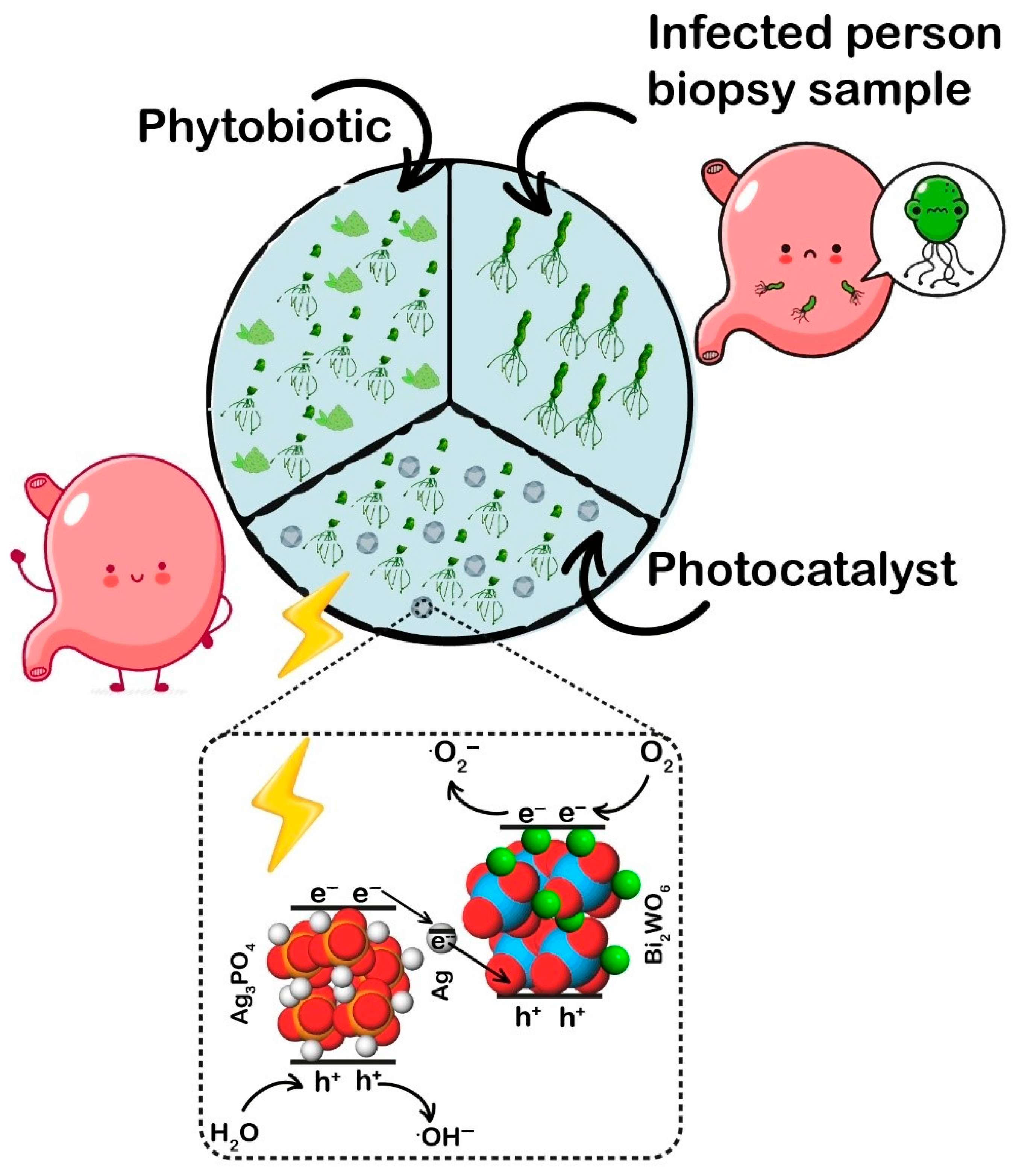 Catalysts 12 01027 g001