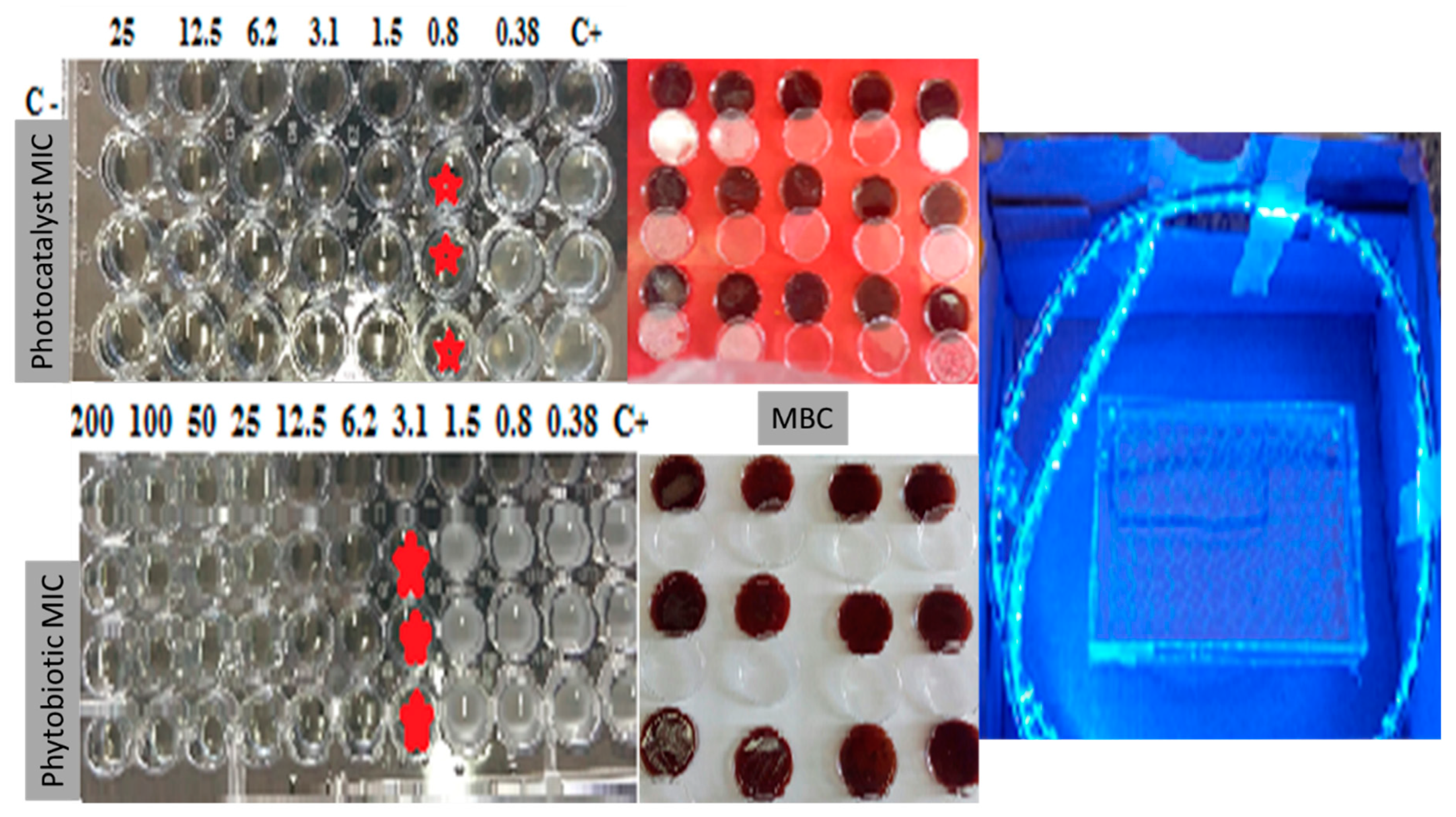 Catalysts 12 01027 g002