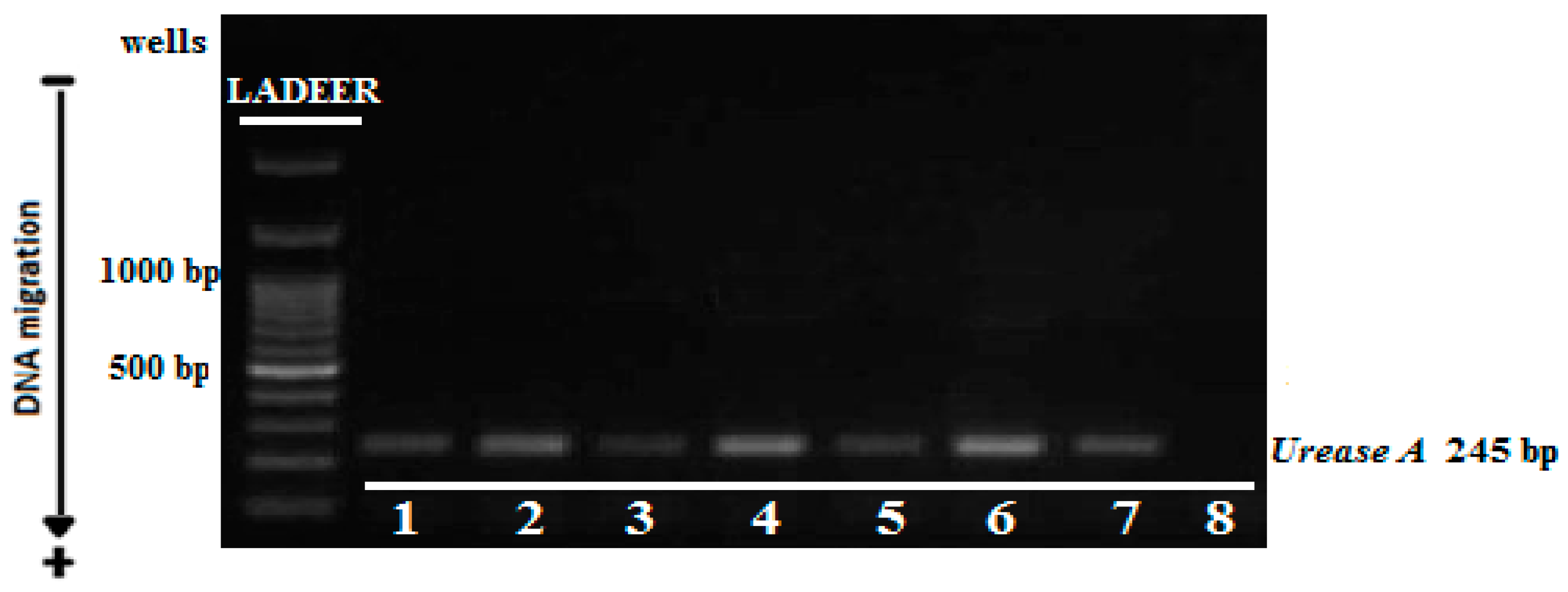 Catalysts 12 01027 g004