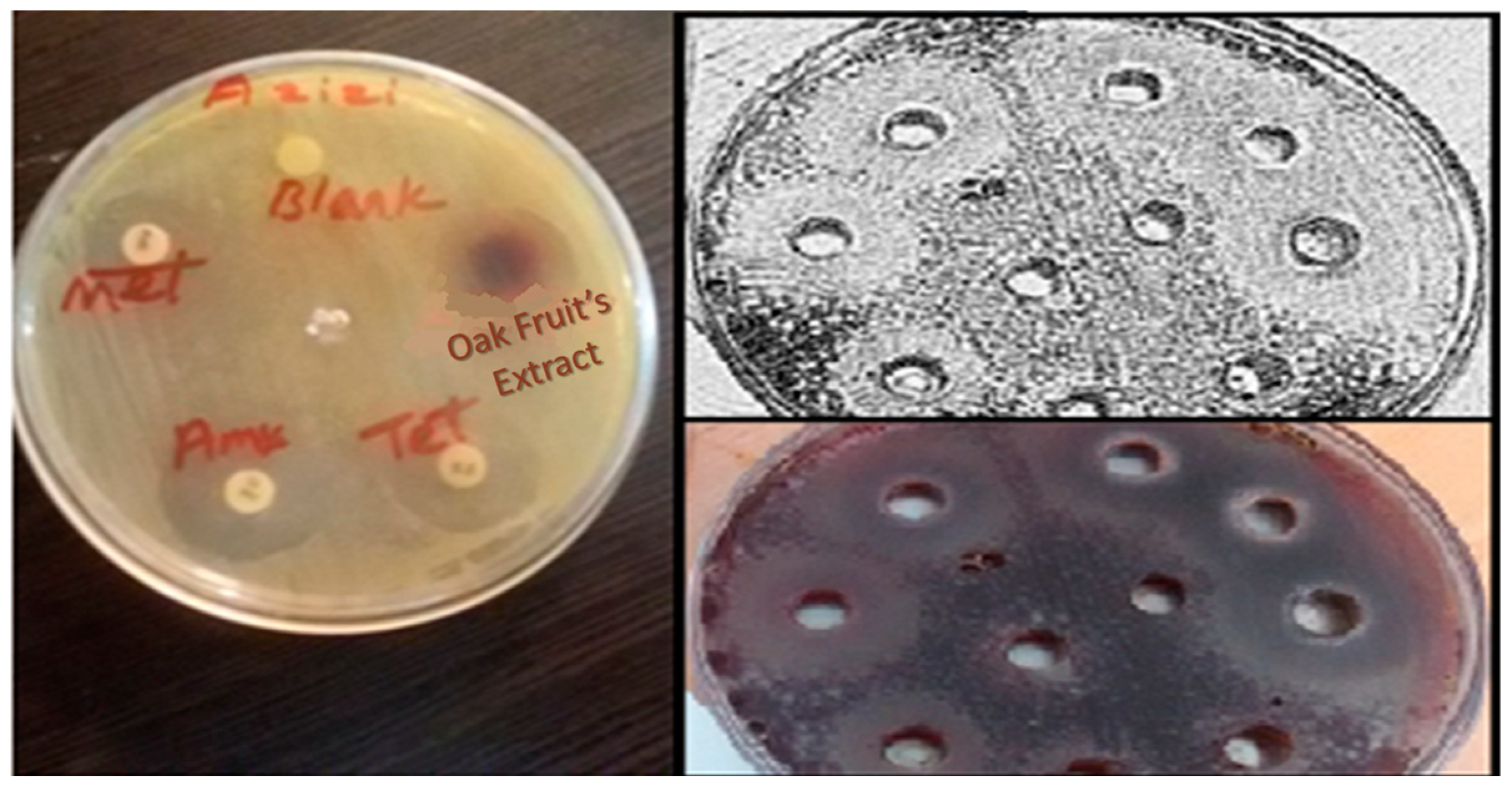 Catalysts 12 01027 g006