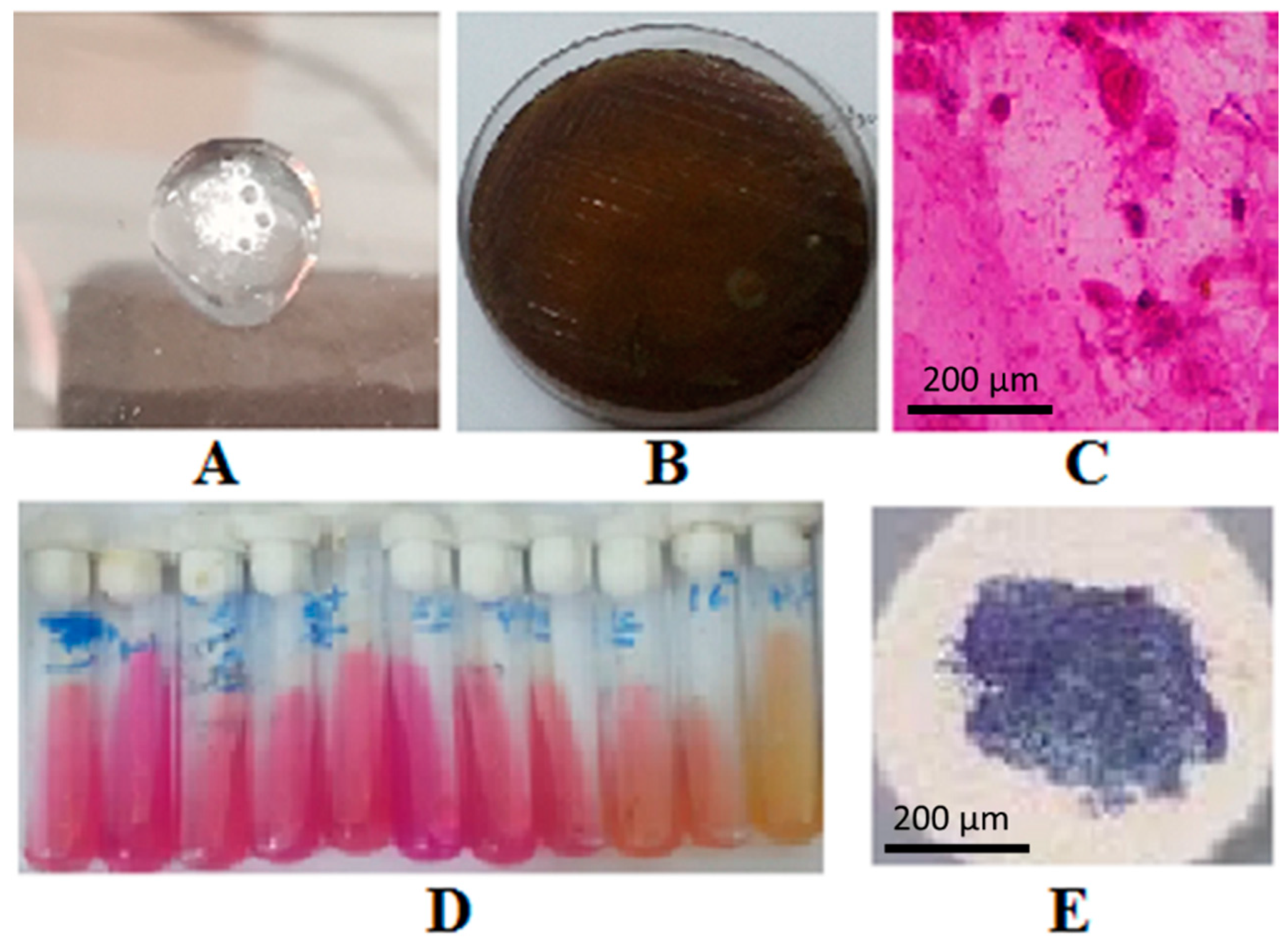 Catalysts 12 01027 g007