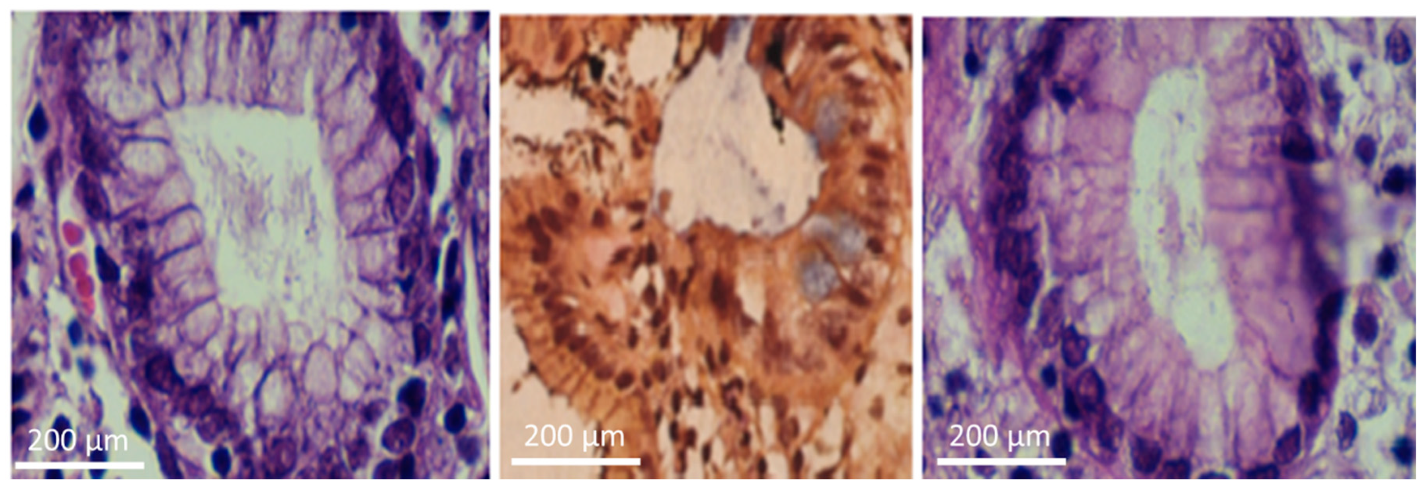 Catalysts 12 01027 g008