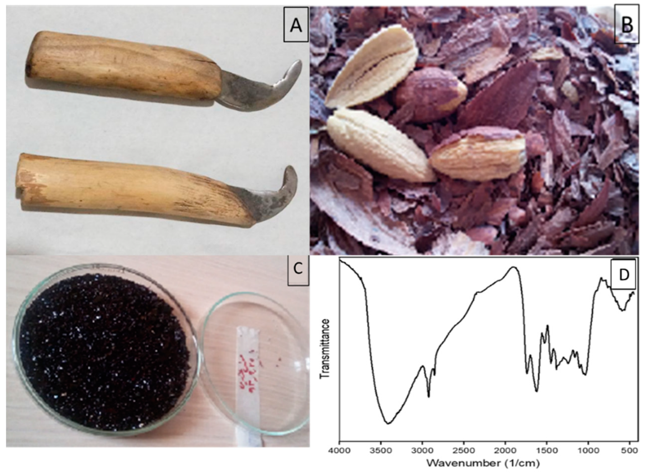 Catalysts 12 01027 g009