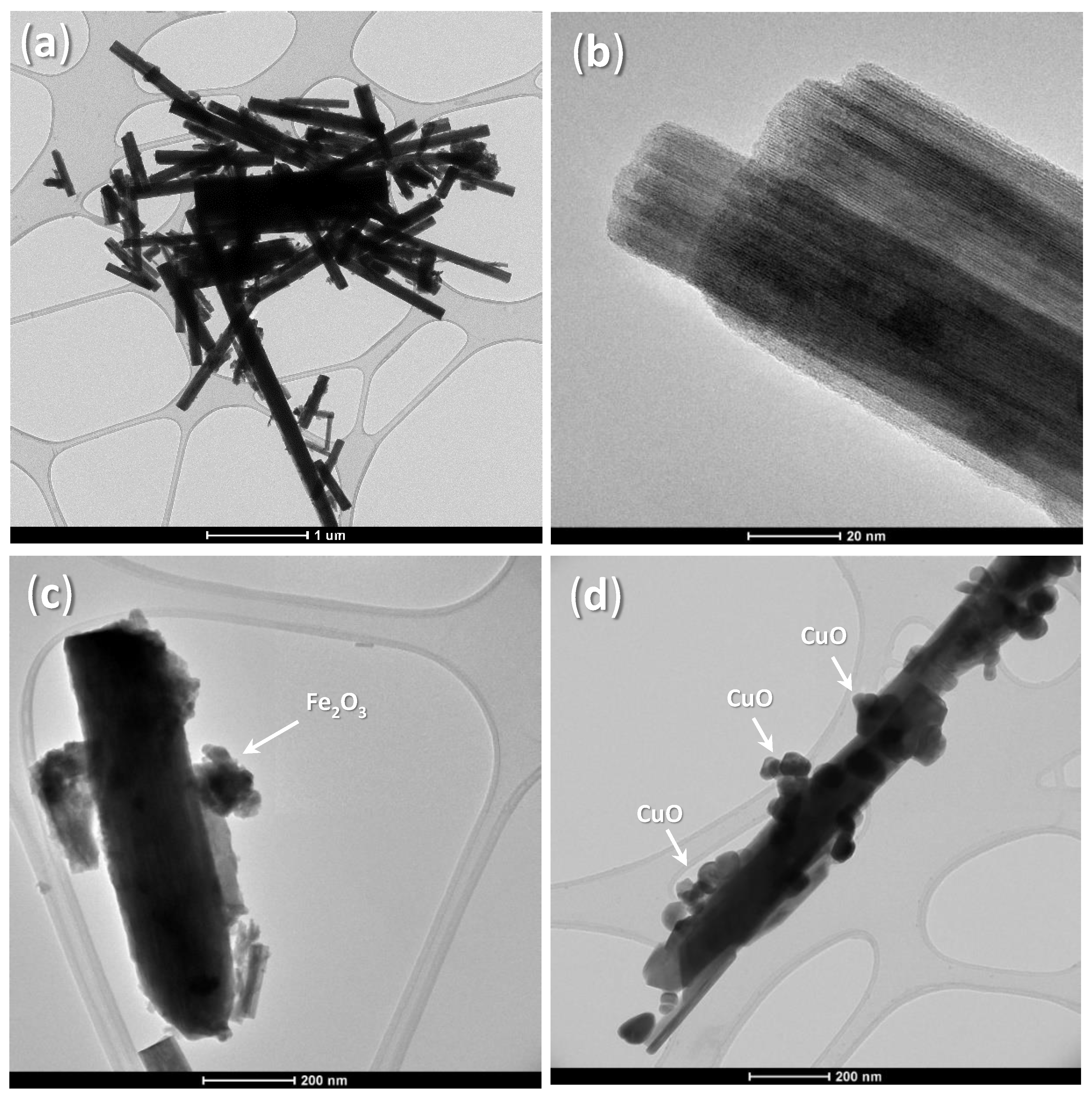 Catalysts 12 01029 g001