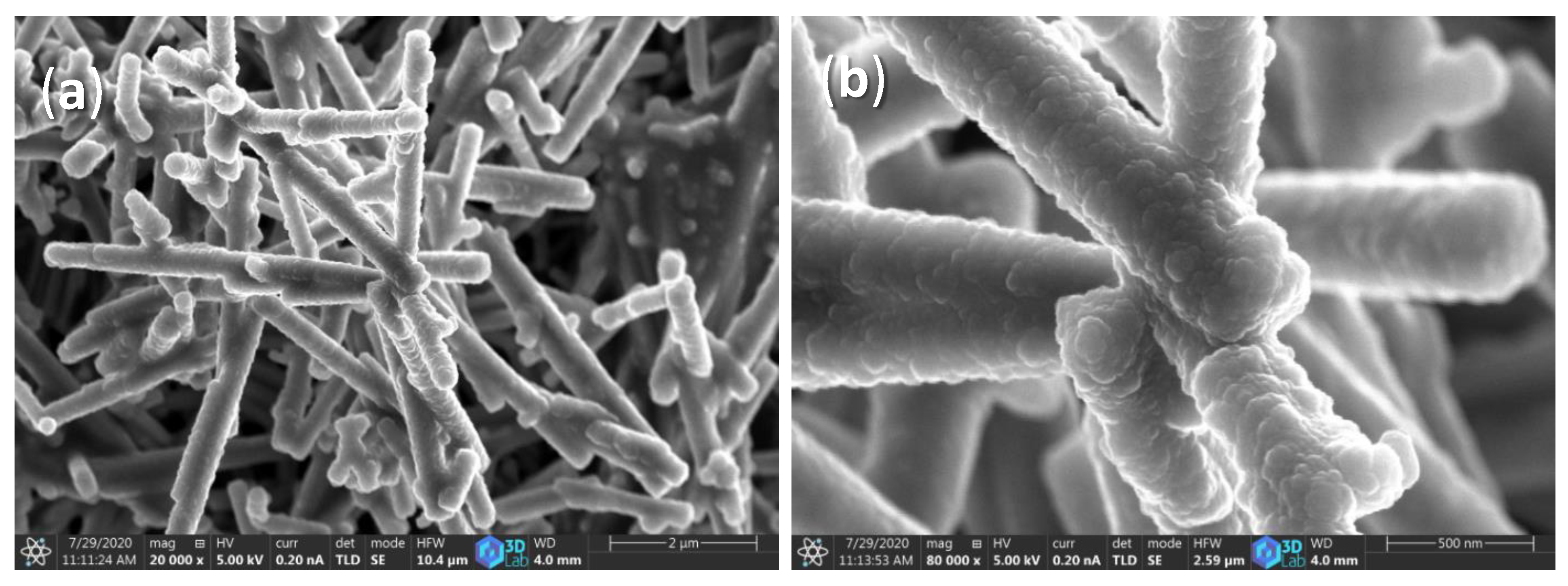 Catalysts 12 01029 g003