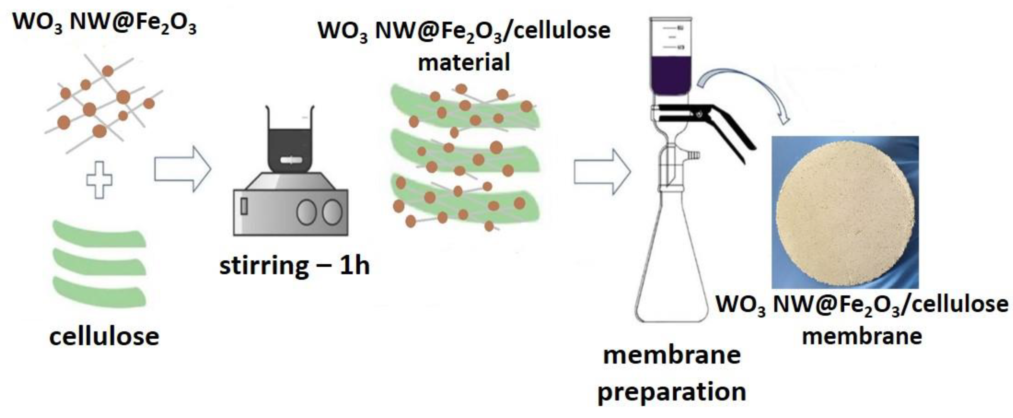 Catalysts 12 01029 g007