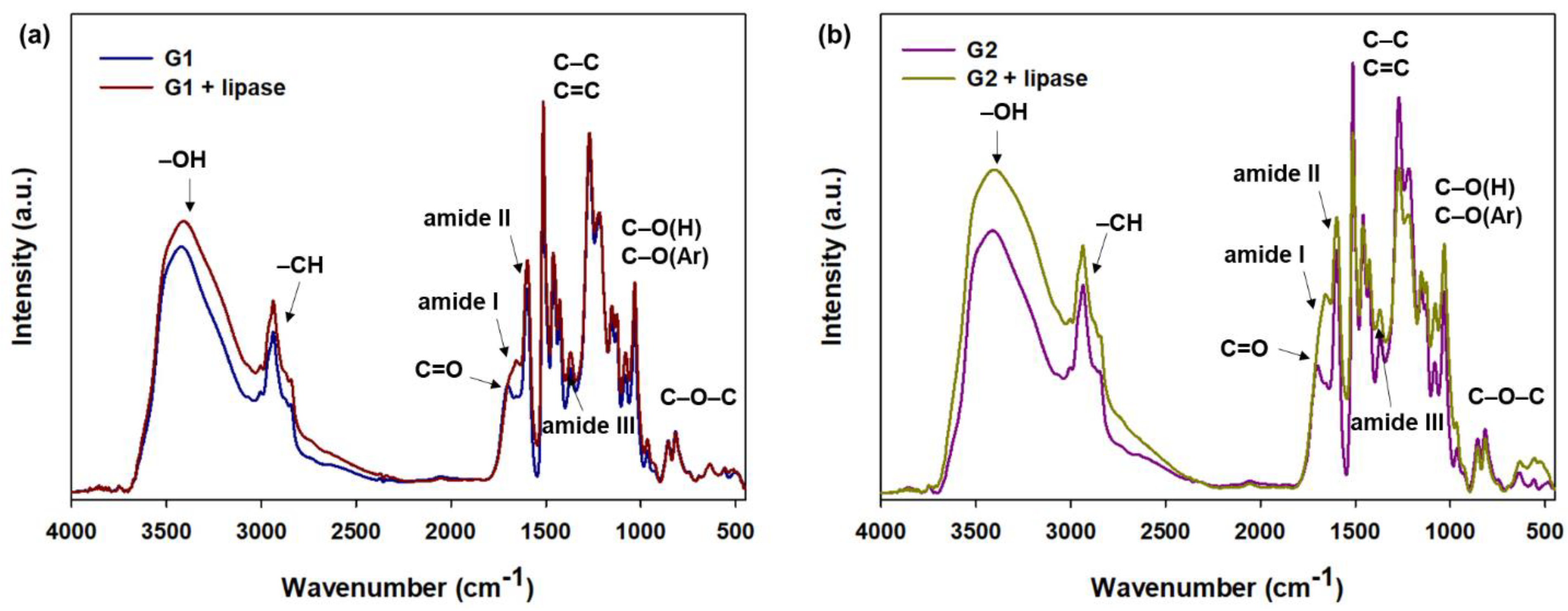 Catalysts 12 01031 g003