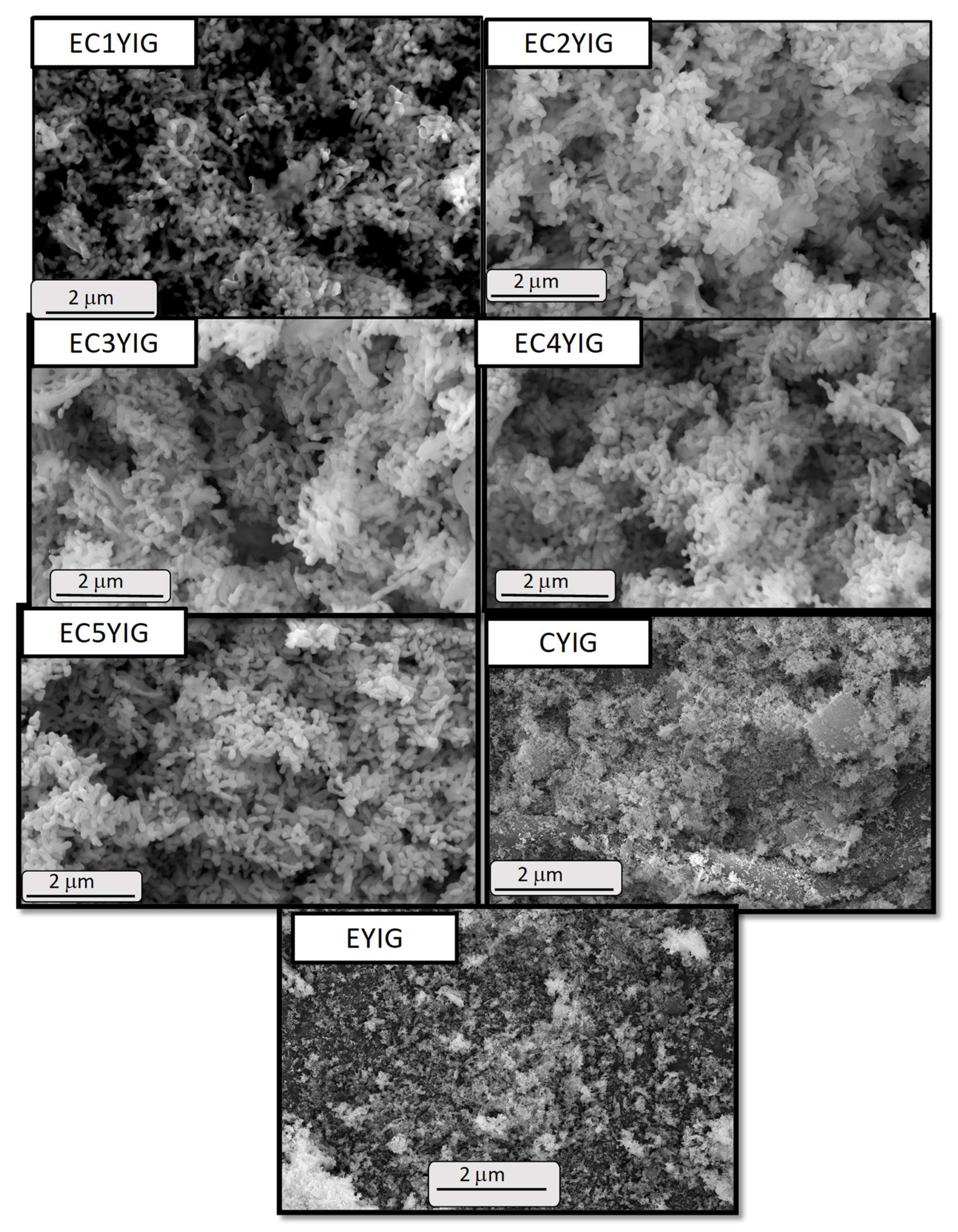 Catalysts 12 01033 g006 550