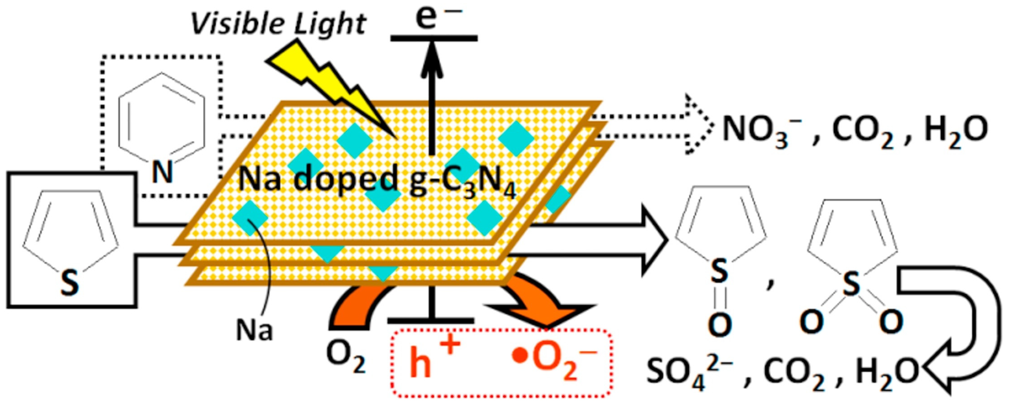 Catalysts 12 01036 g005