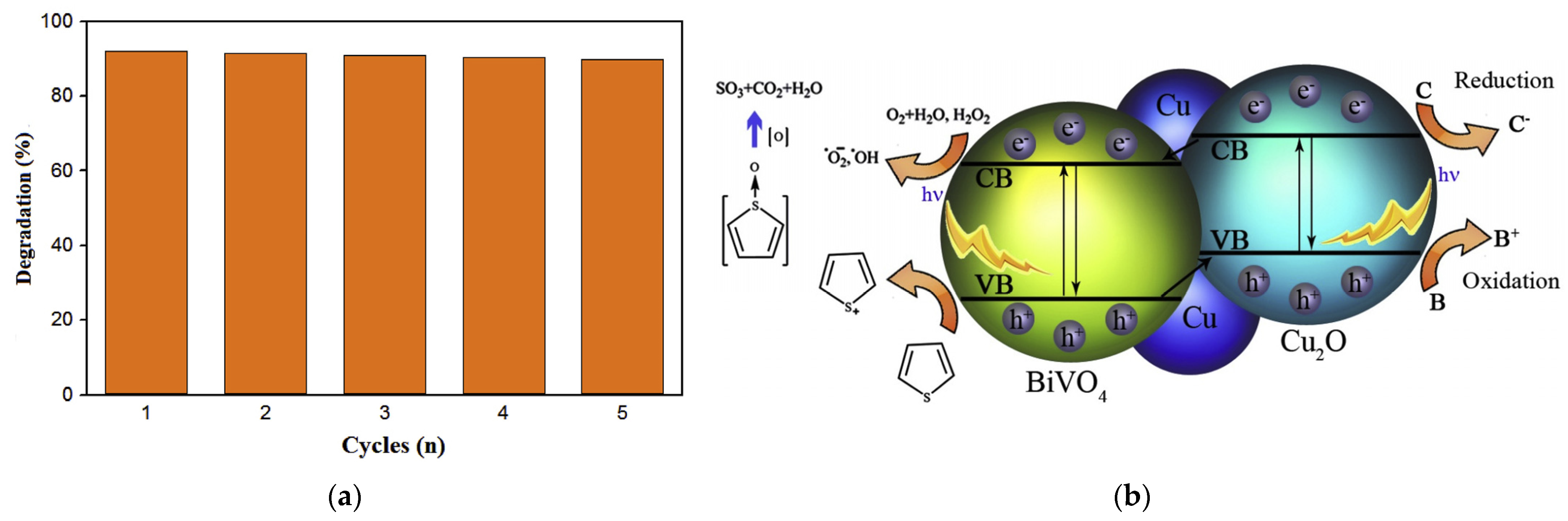 Catalysts 12 01036 g008