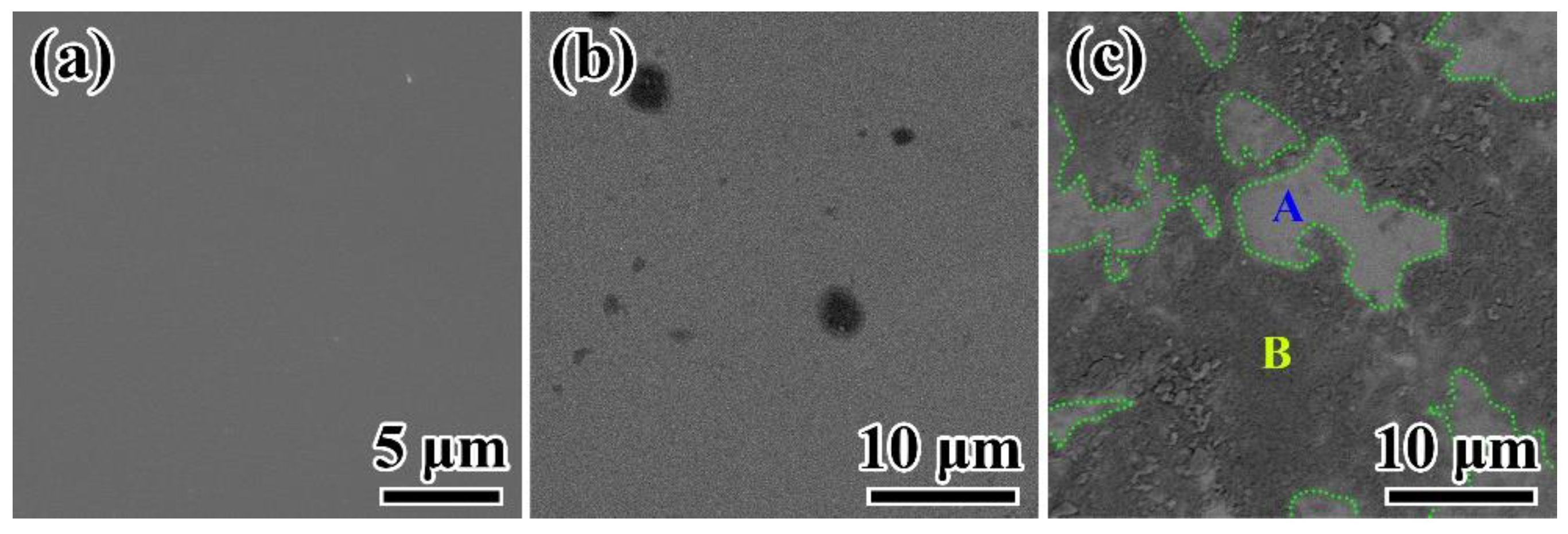 Catalysts 12 01038 g008
