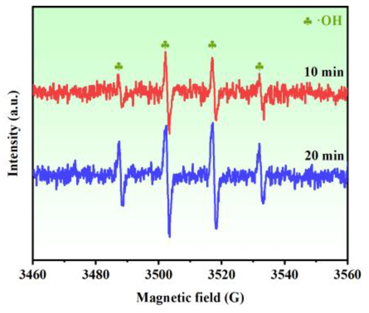 Catalysts 12 01038 g010