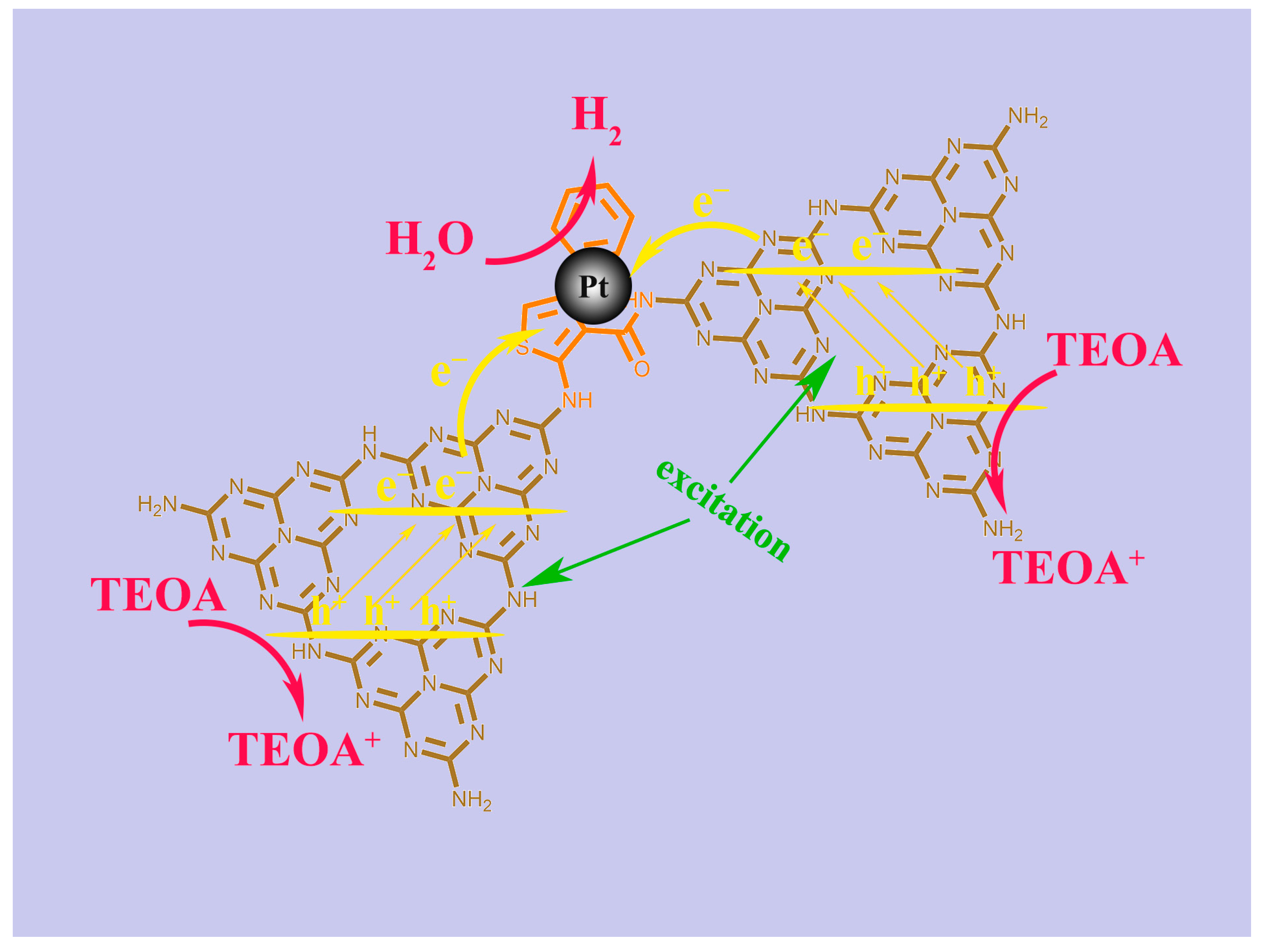 Catalysts 12 01043 g012