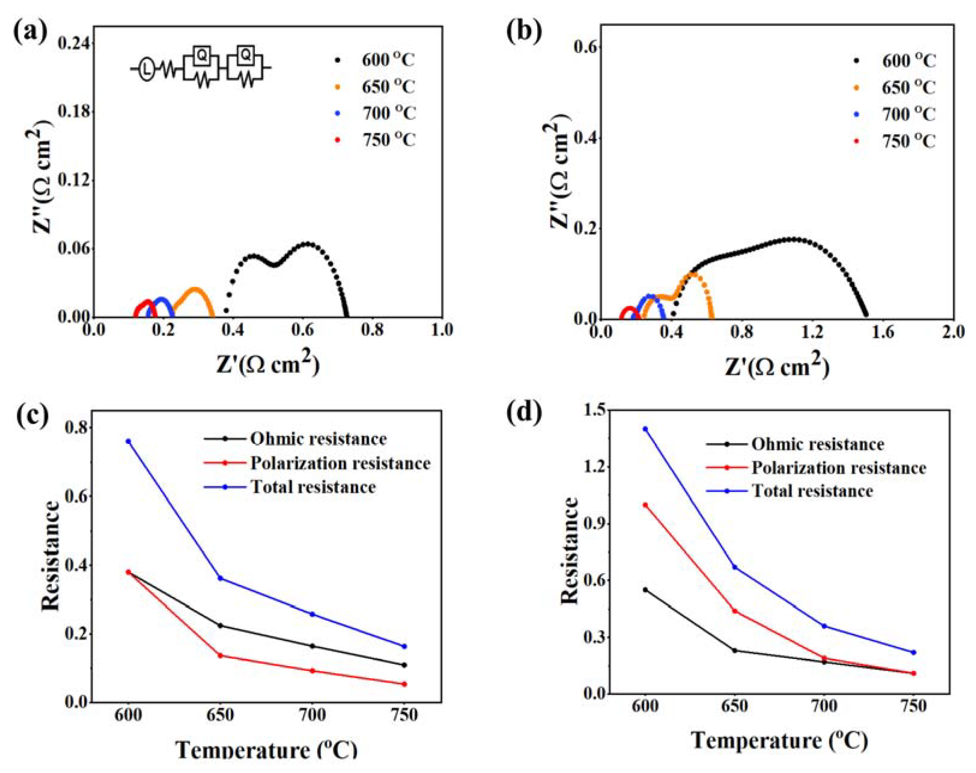 Catalysts 12 01046 g008