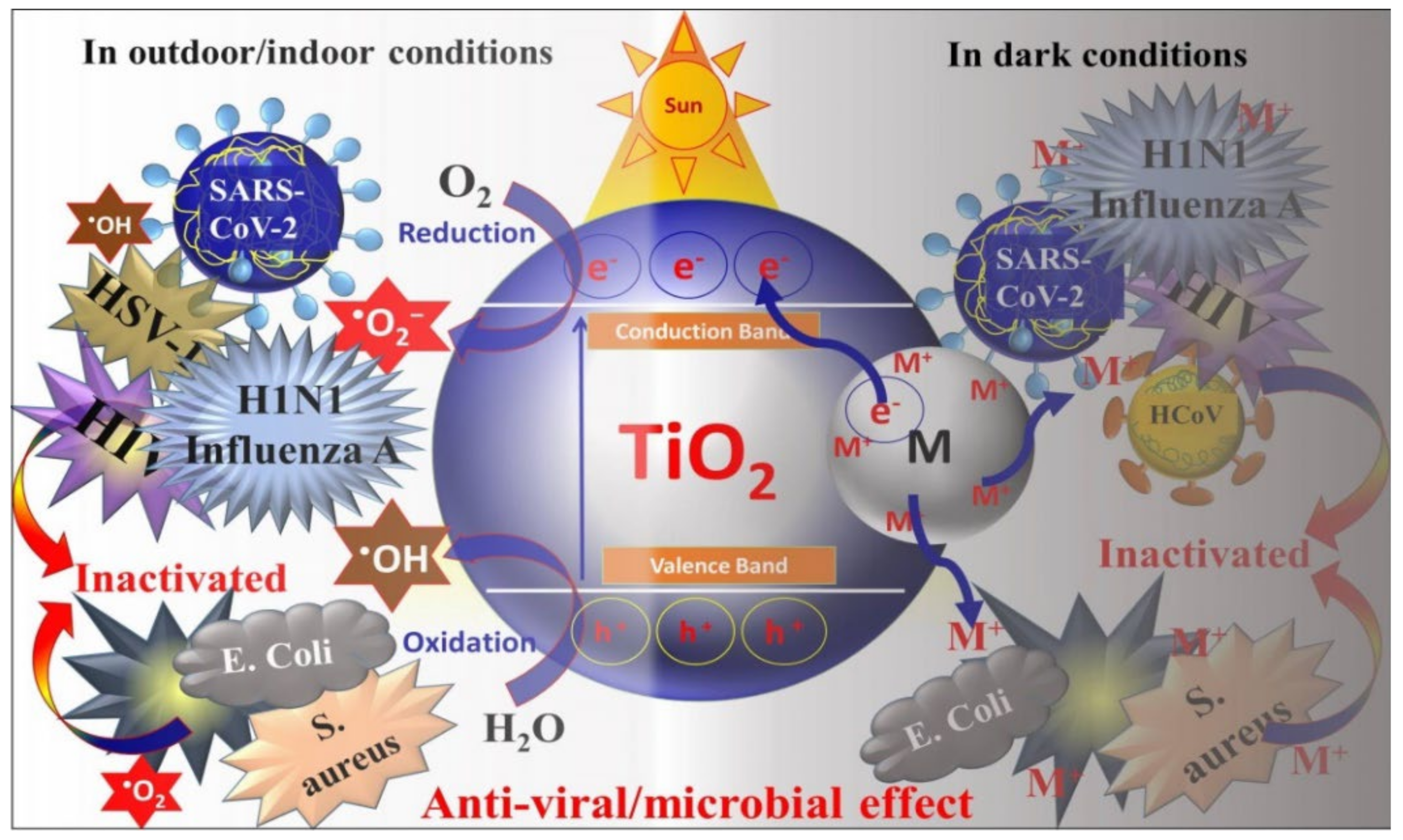 Catalysts 12 01047 g002