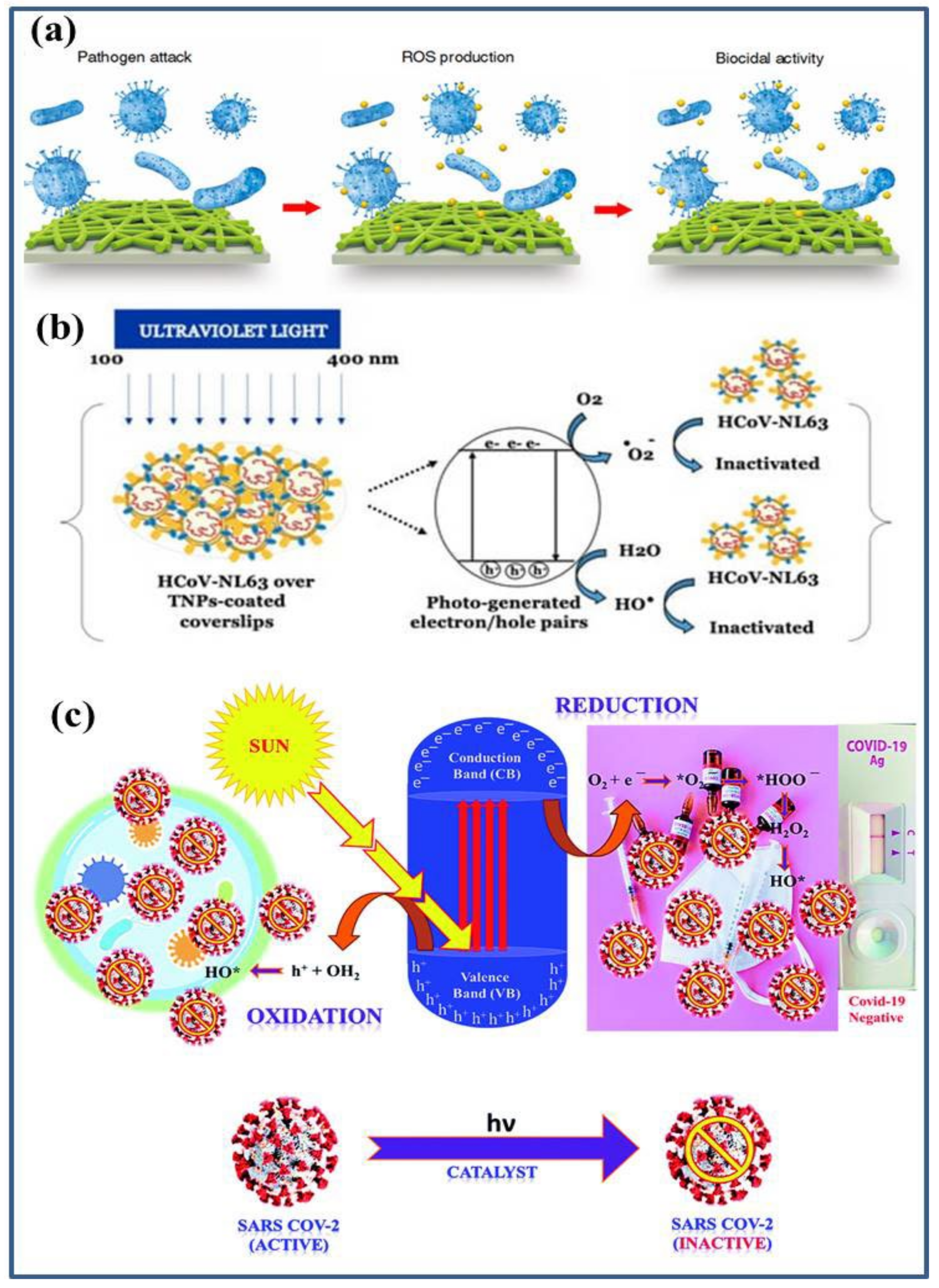 Catalysts 12 01047 g003 550