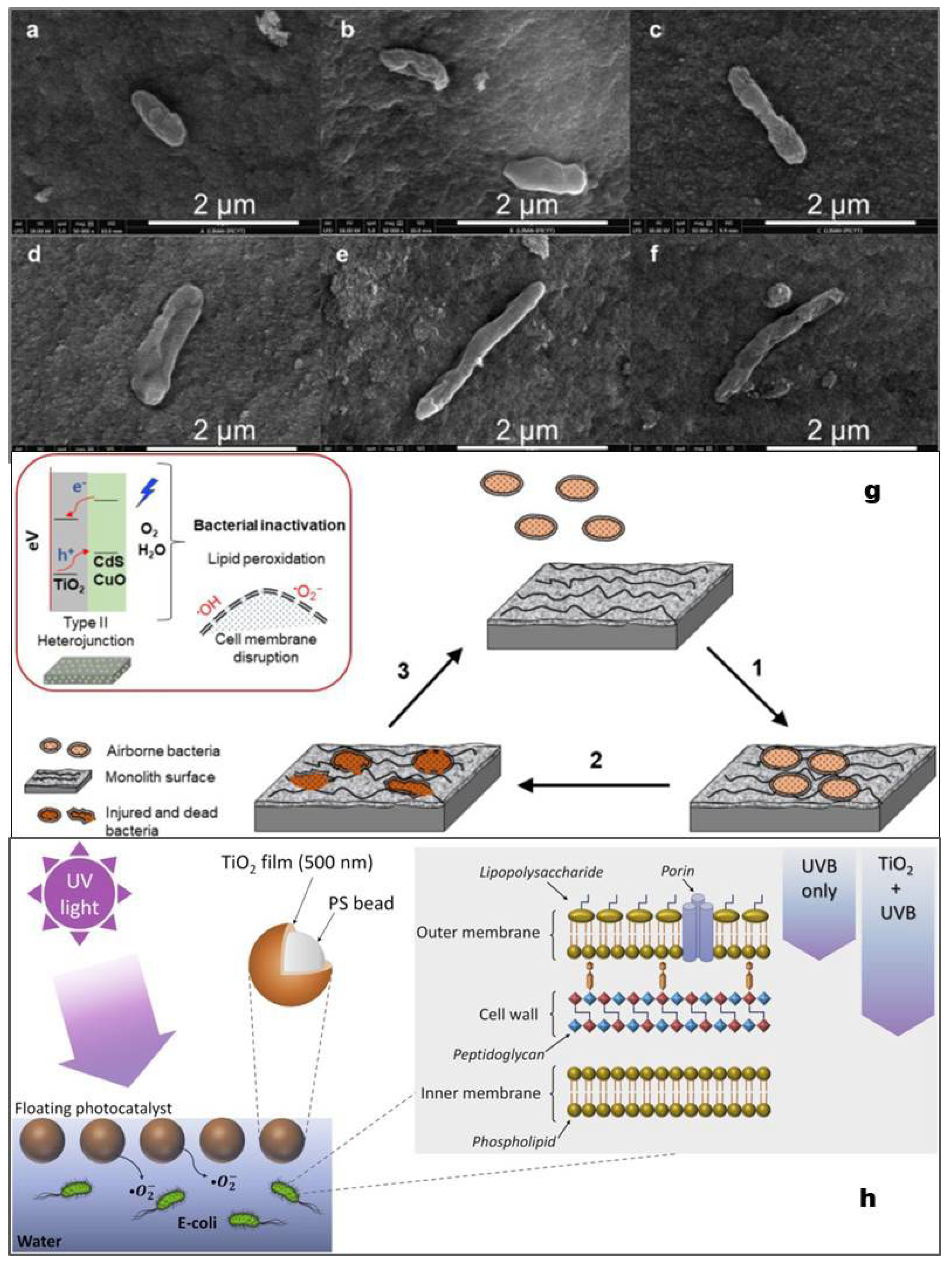 Catalysts 12 01047 g006