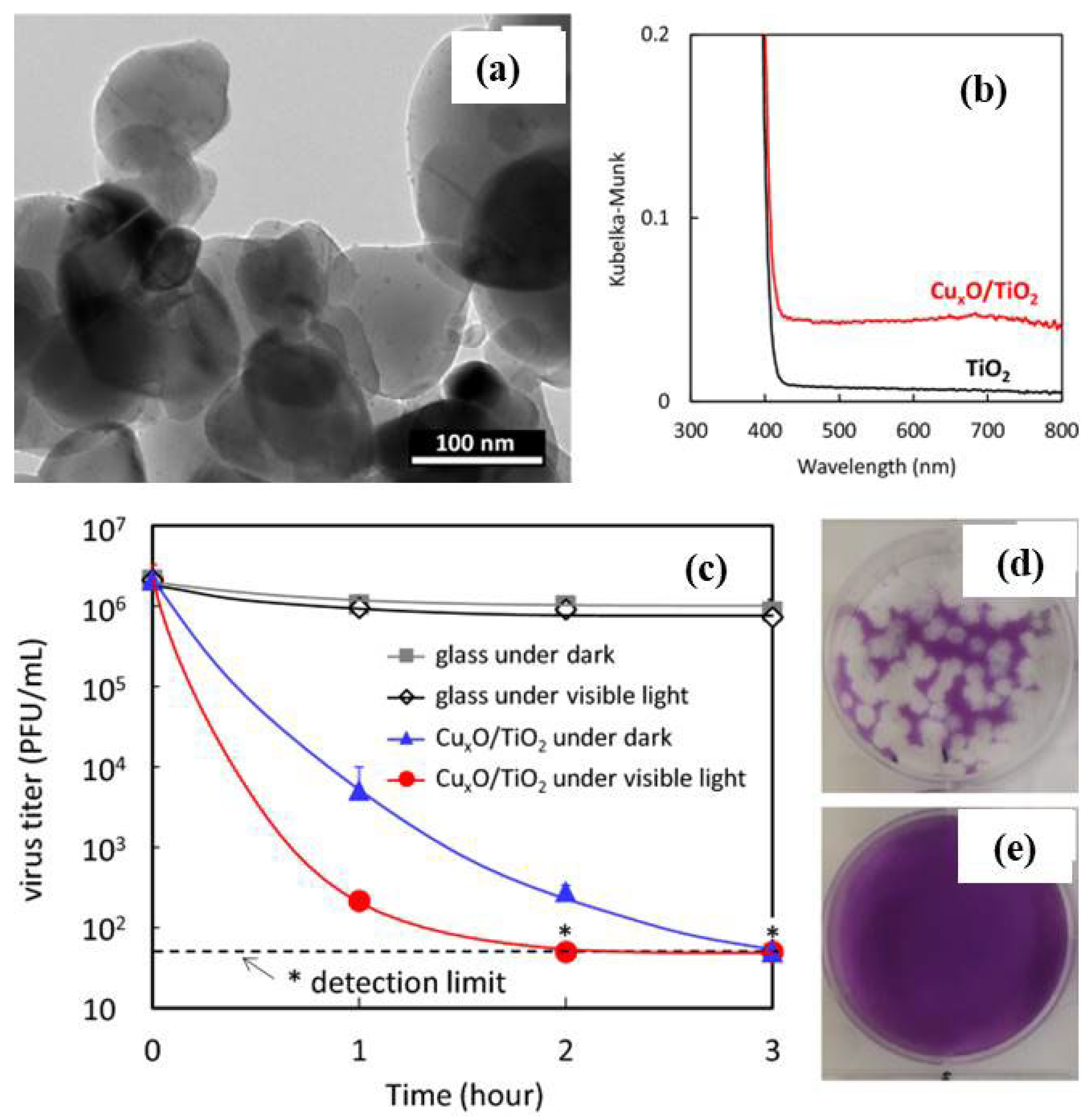 Catalysts 12 01047 g010