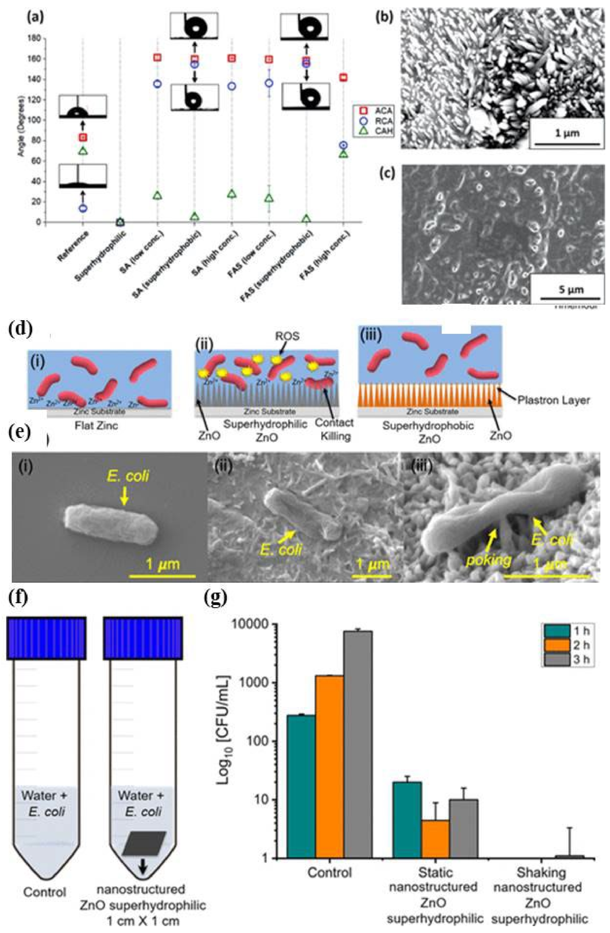 Catalysts 12 01047 g011