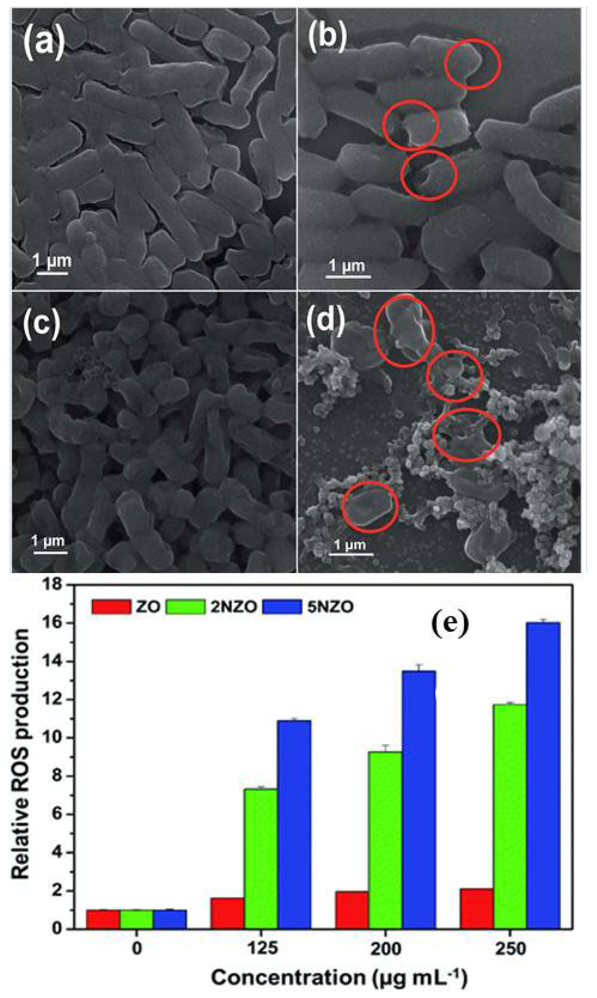 Catalysts 12 01047 g012