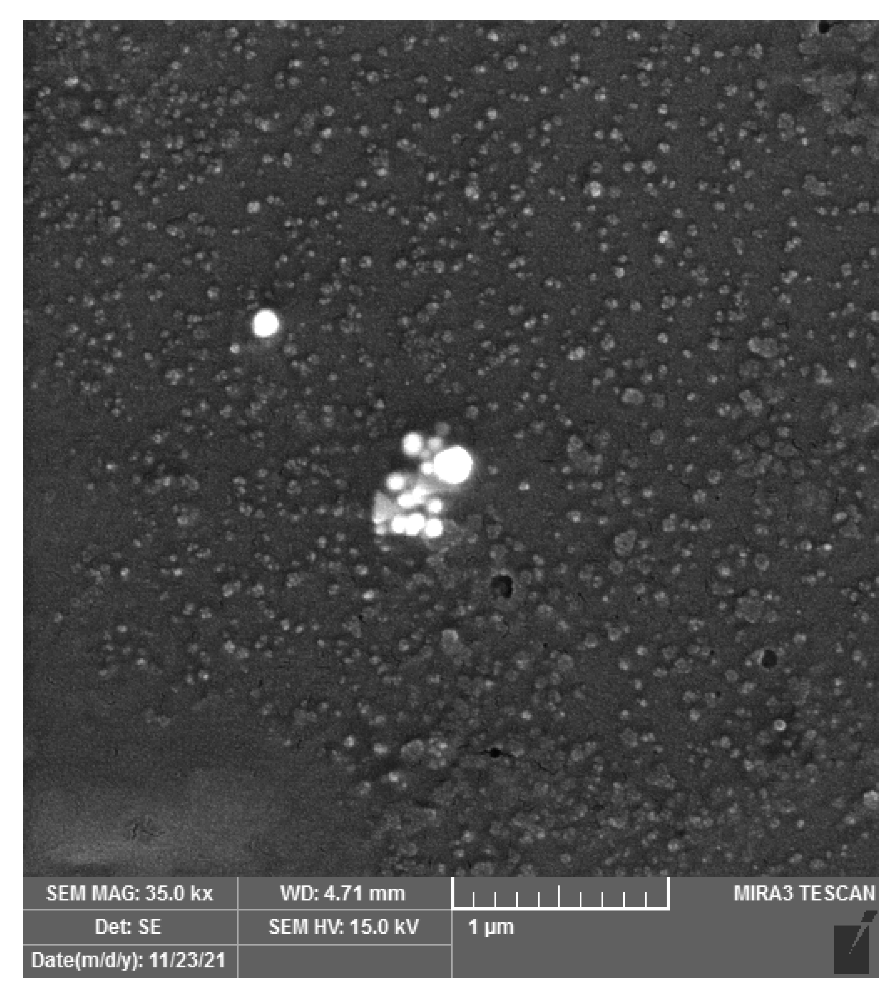 Catalysts 12 01048 g002 550